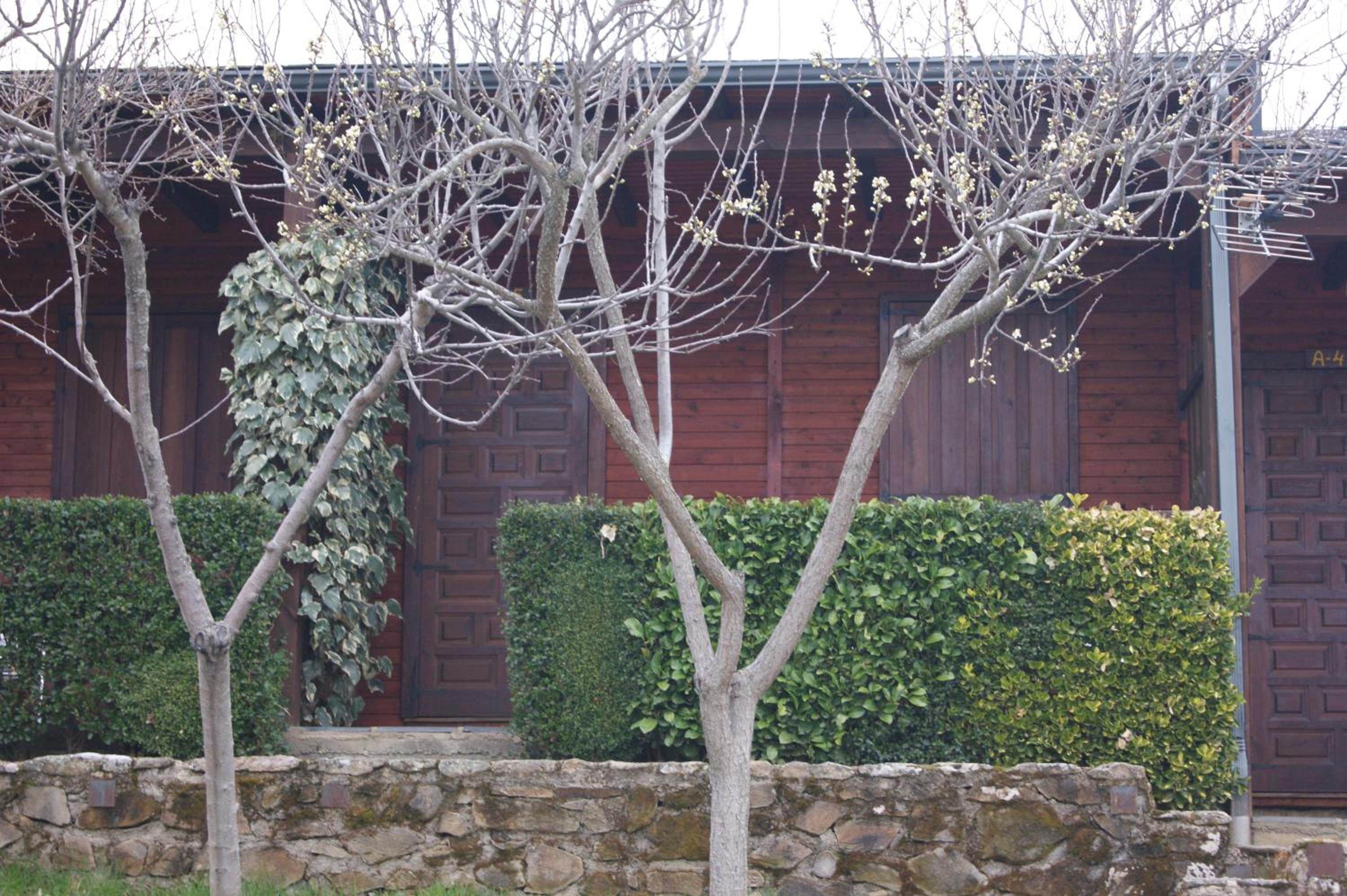 Photo 43