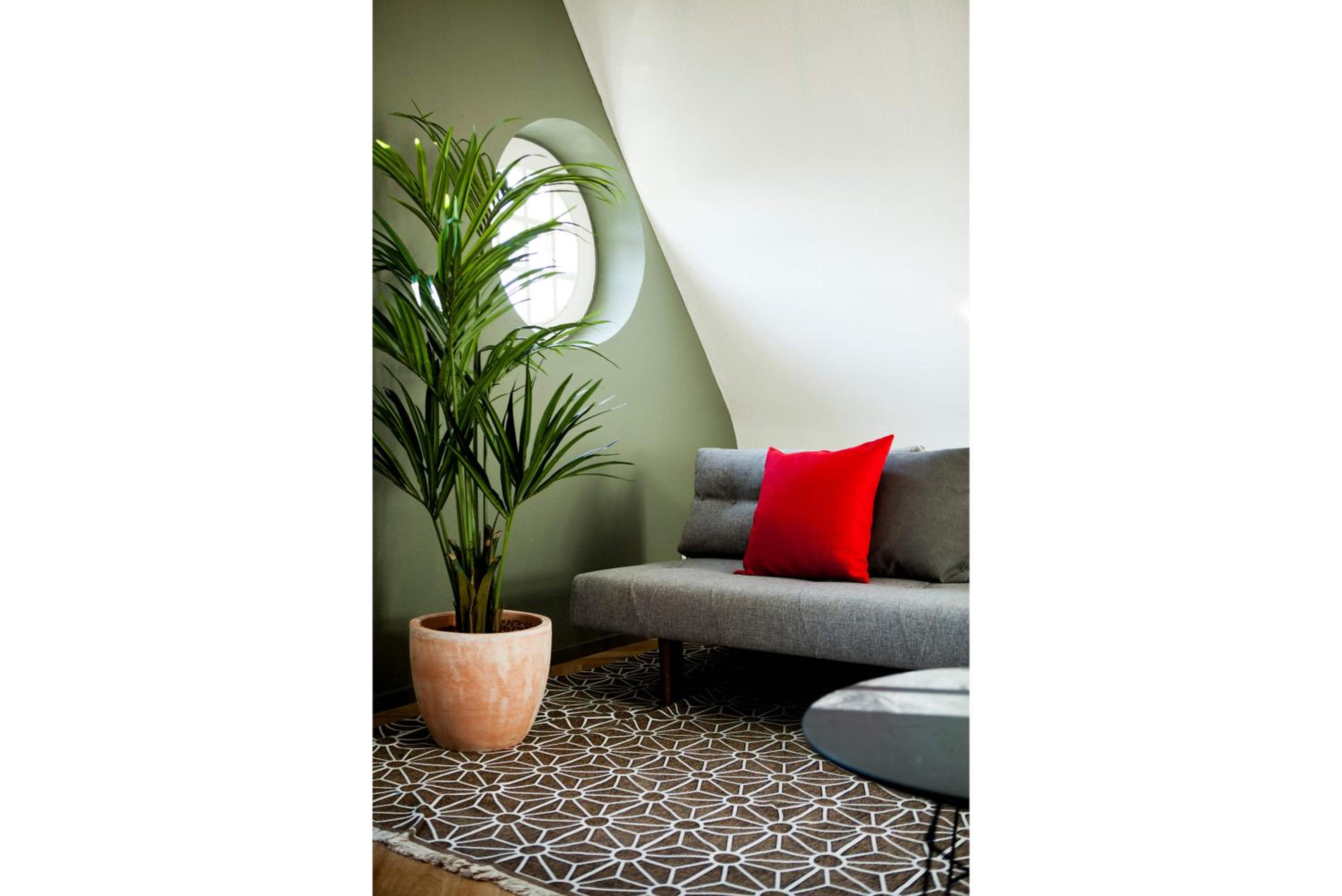 The Duke Boutique Apartments