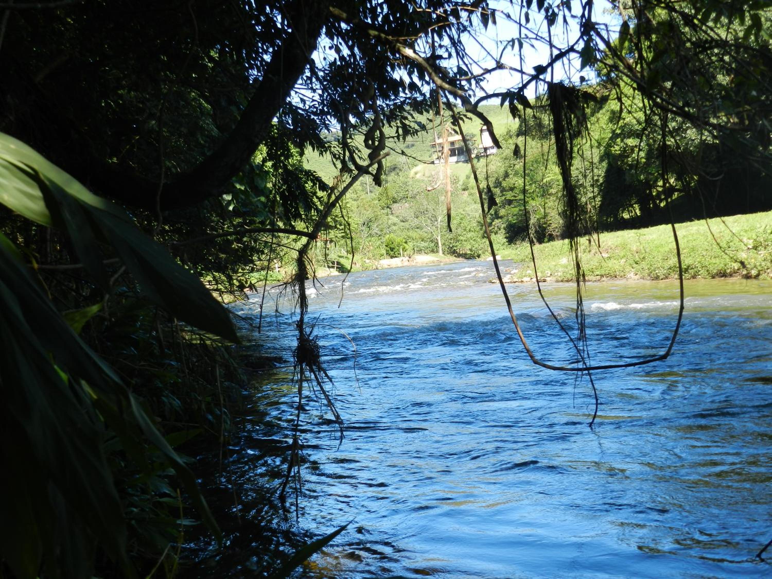 Photo 46