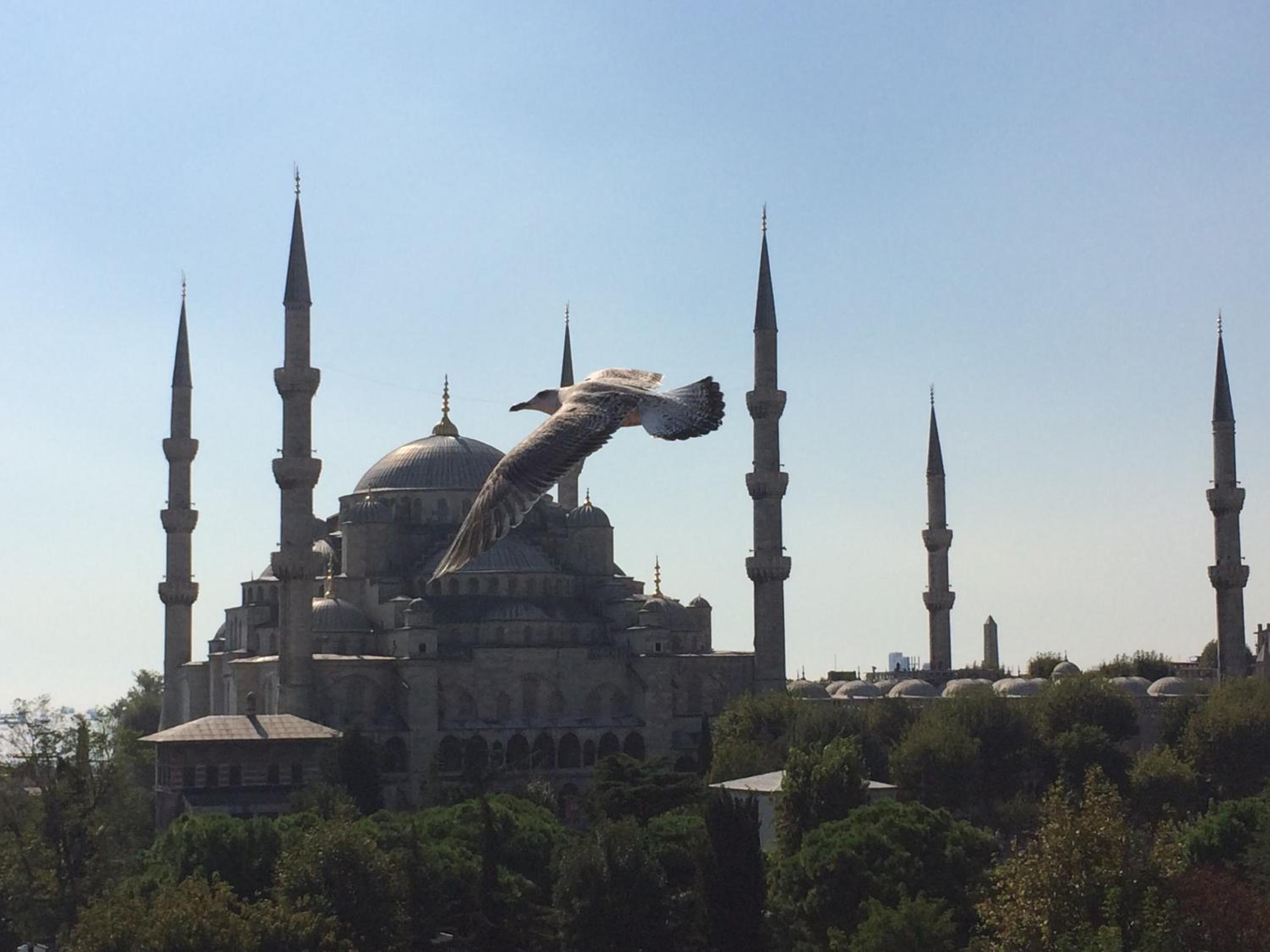 Kalyon Hotel Istanbul - Image 45