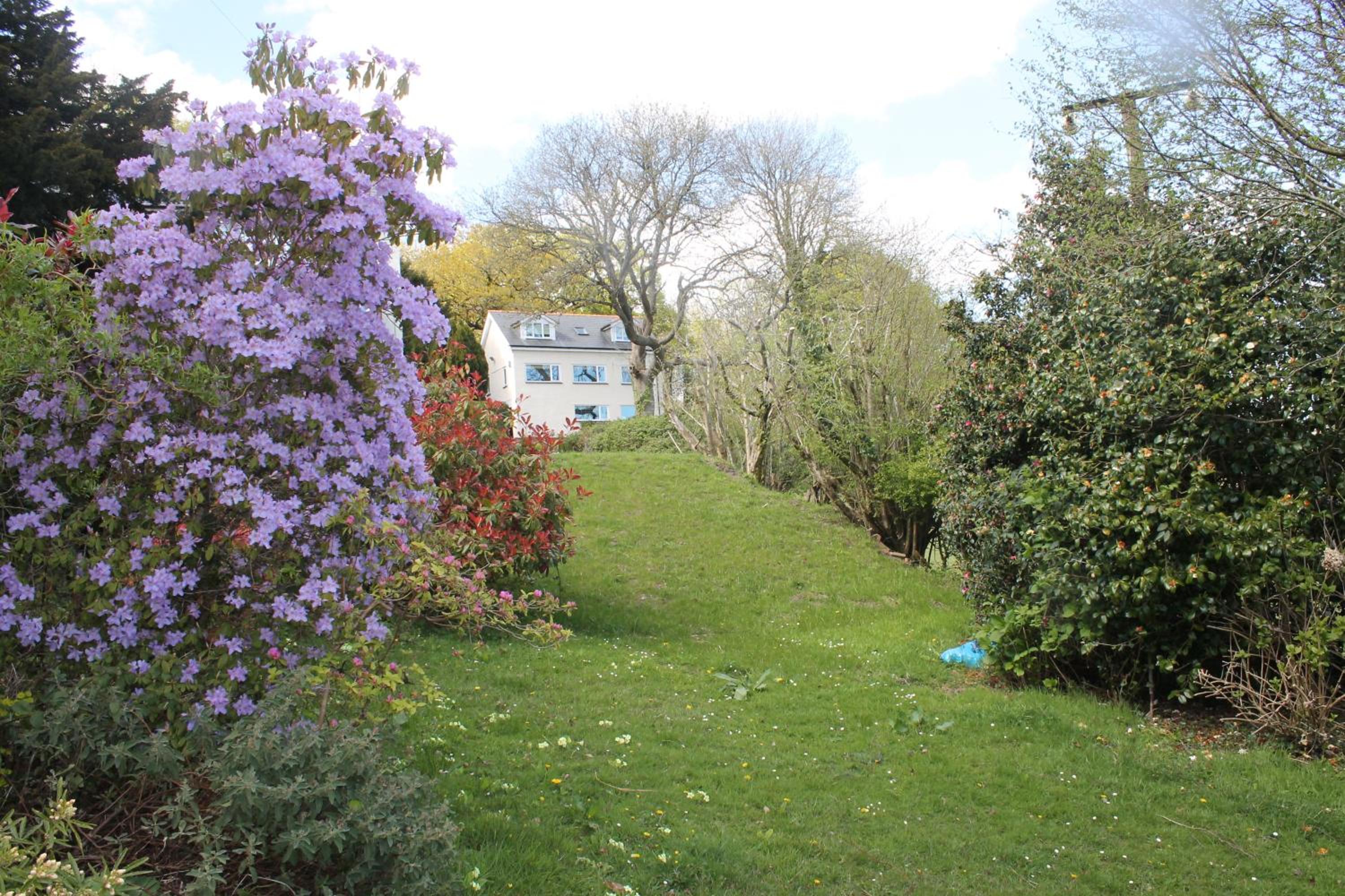Photo 25