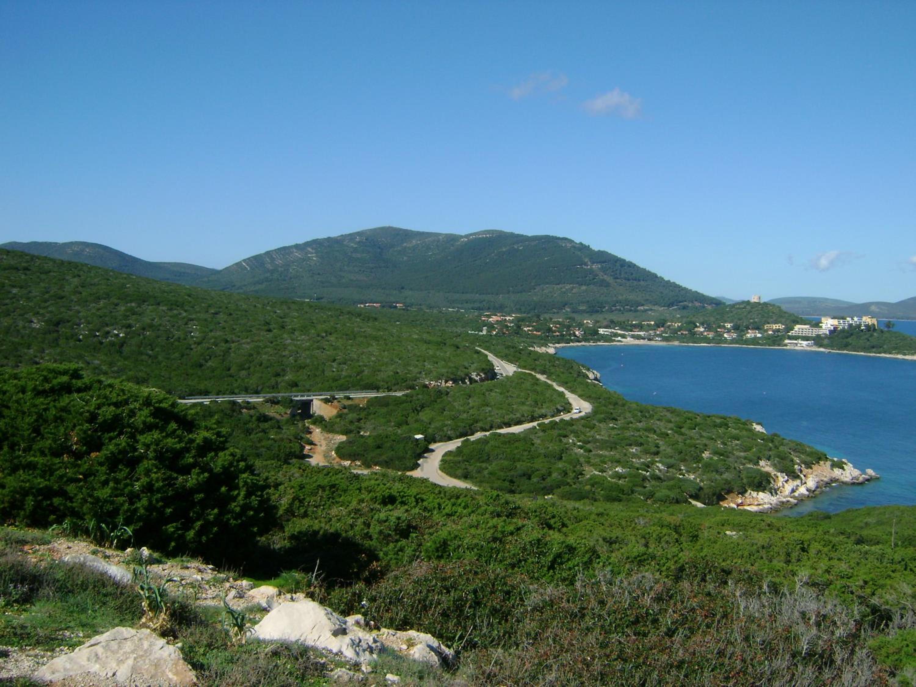 Photo 42