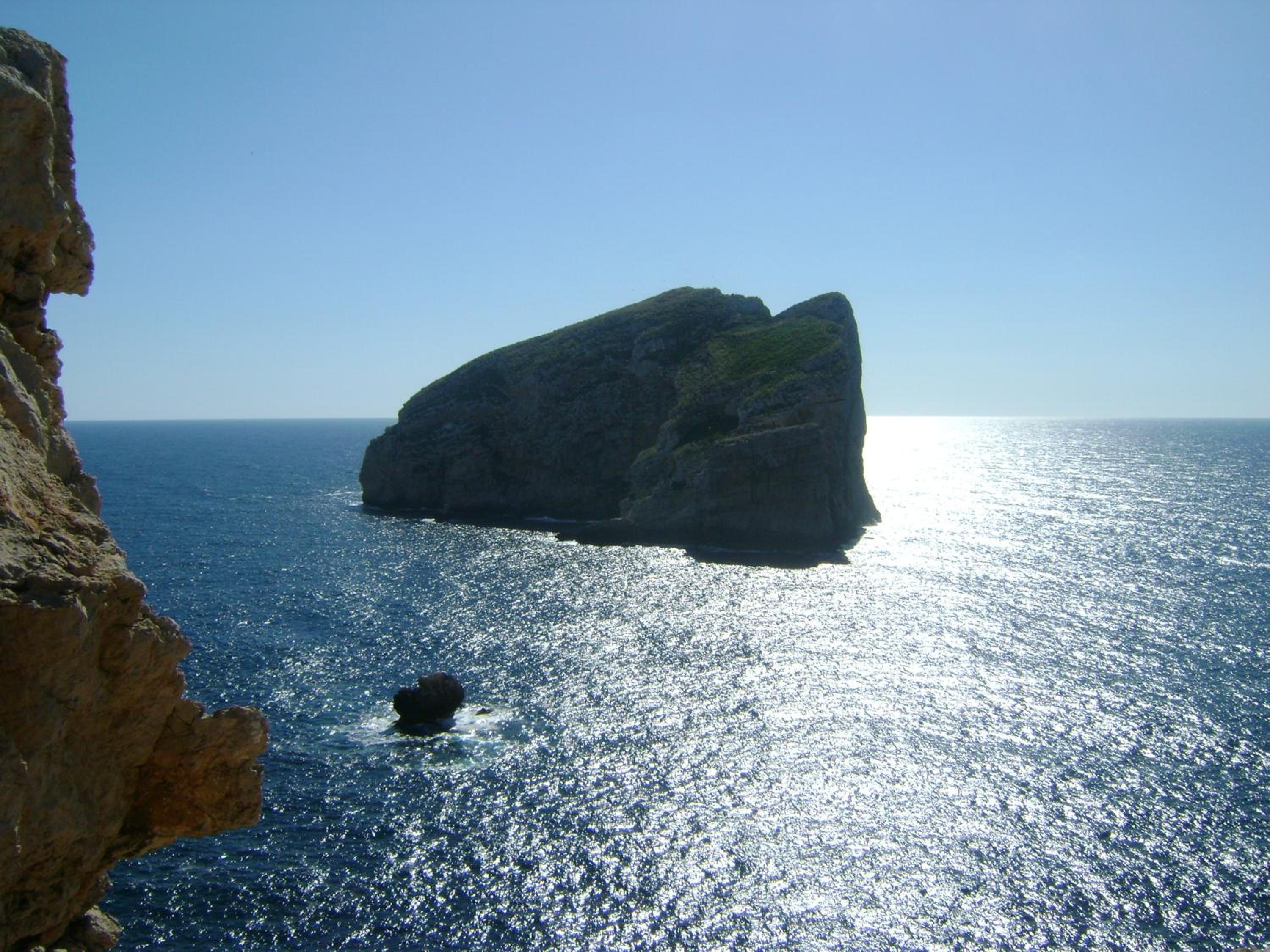Photo 48