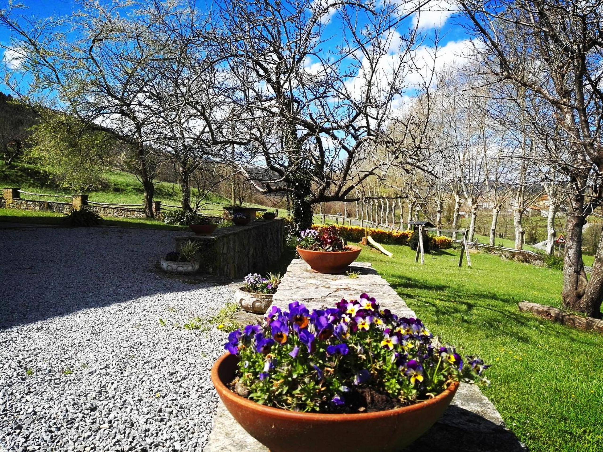 Finca Artienza