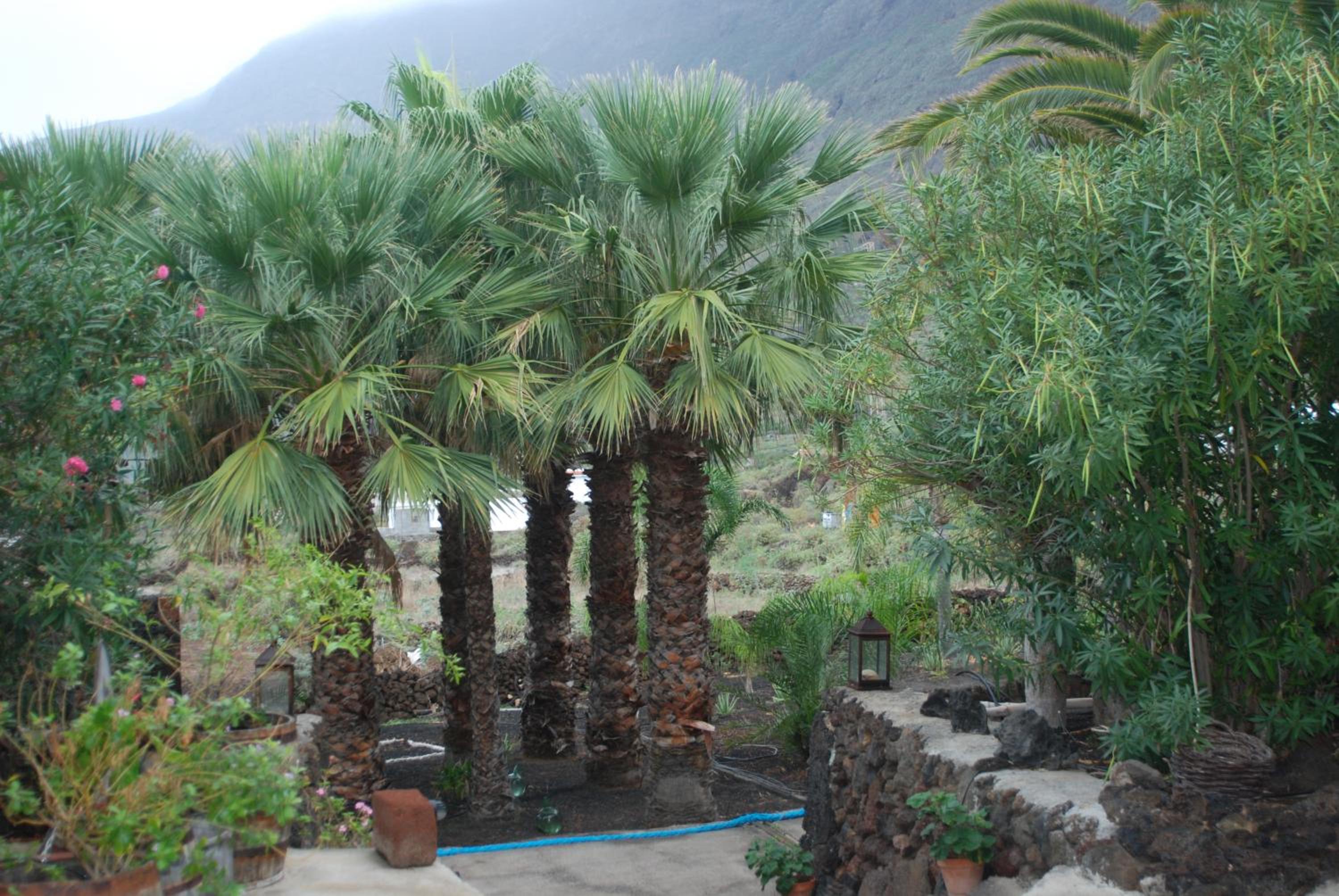 Apartamentos Finca Wapa