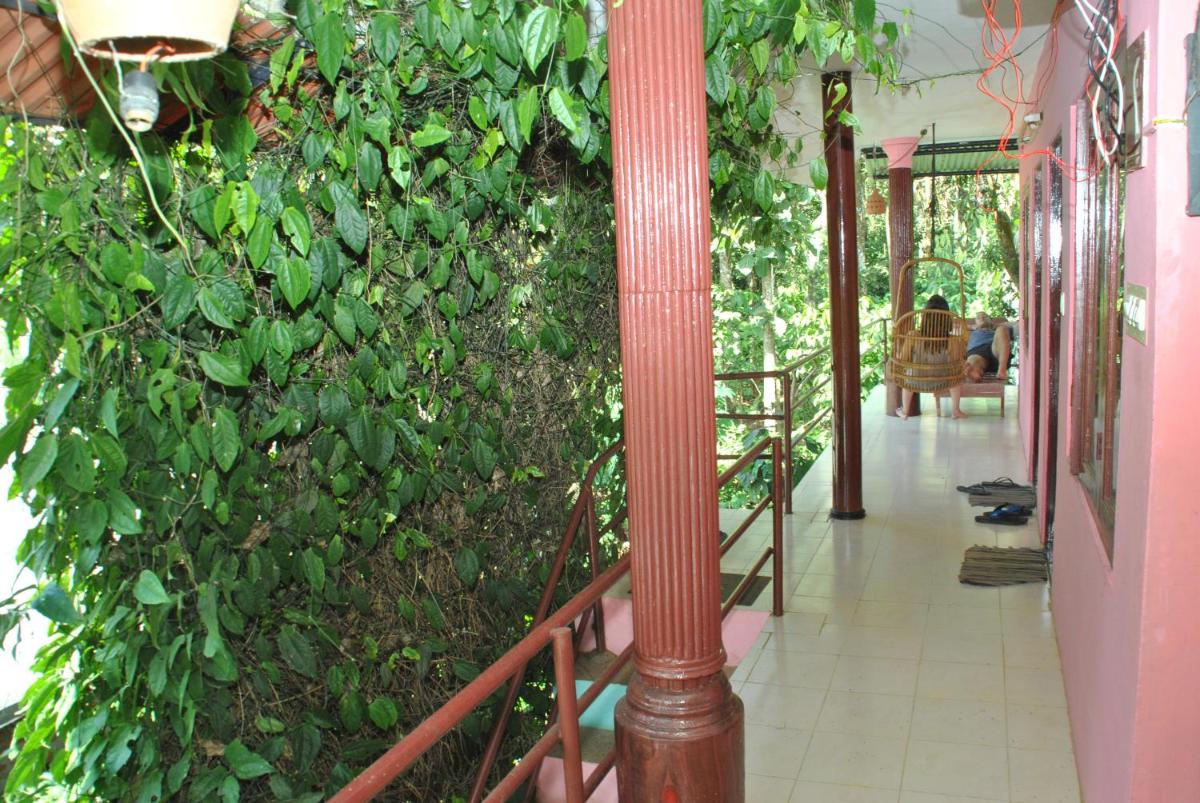 Thekkady Vacations - Jungleparadiso Homestay - Property Image 6