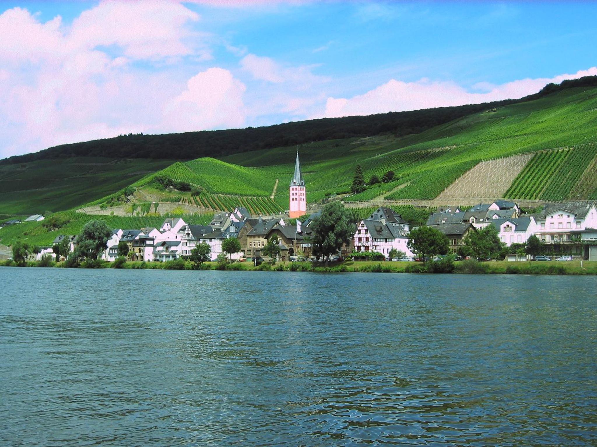 Ferienwohnung am Moselufer view 4