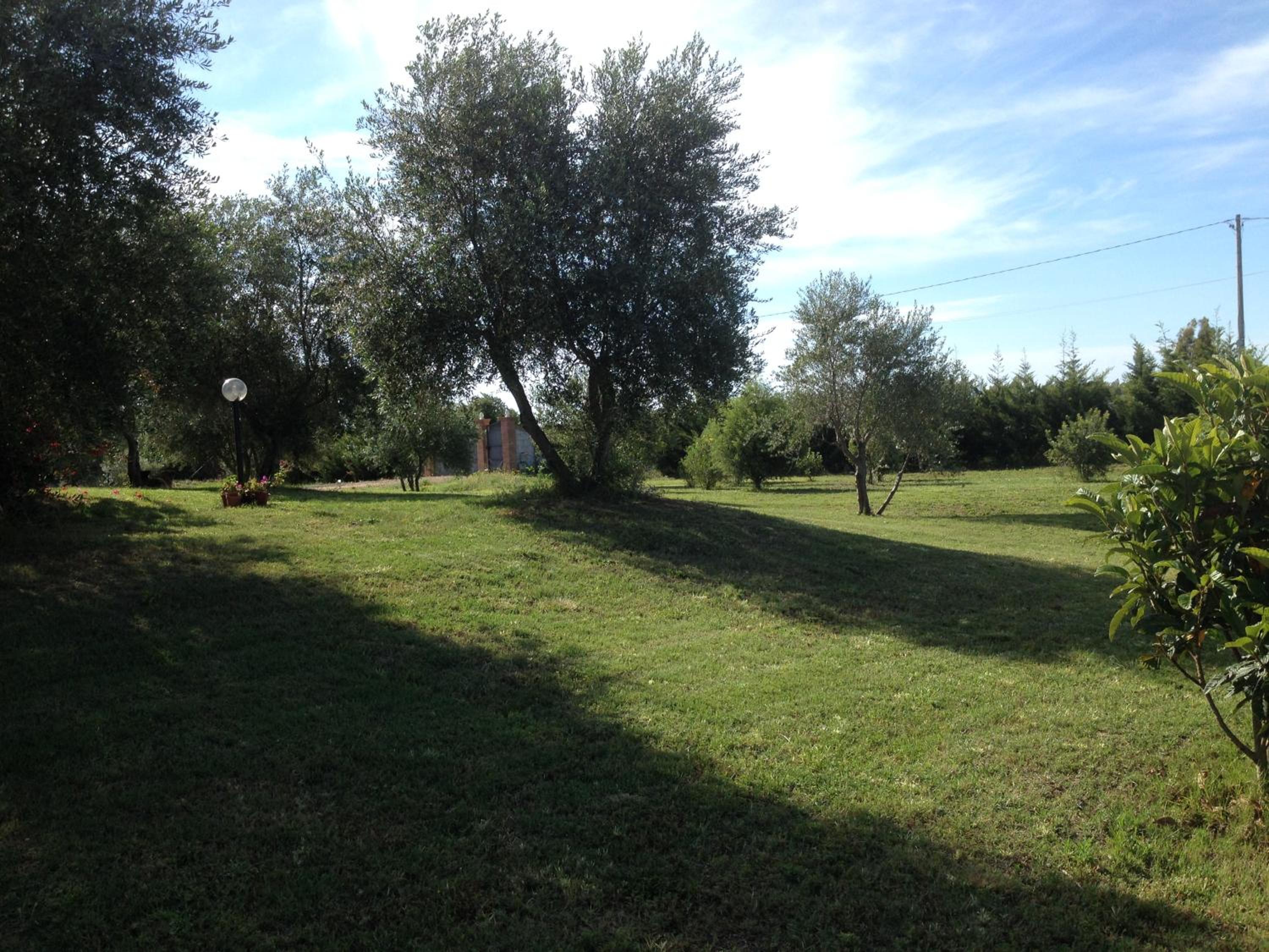 Photo 33