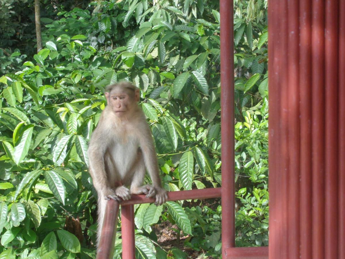Thekkady Vacations - Jungleparadiso Homestay - Property Image 5