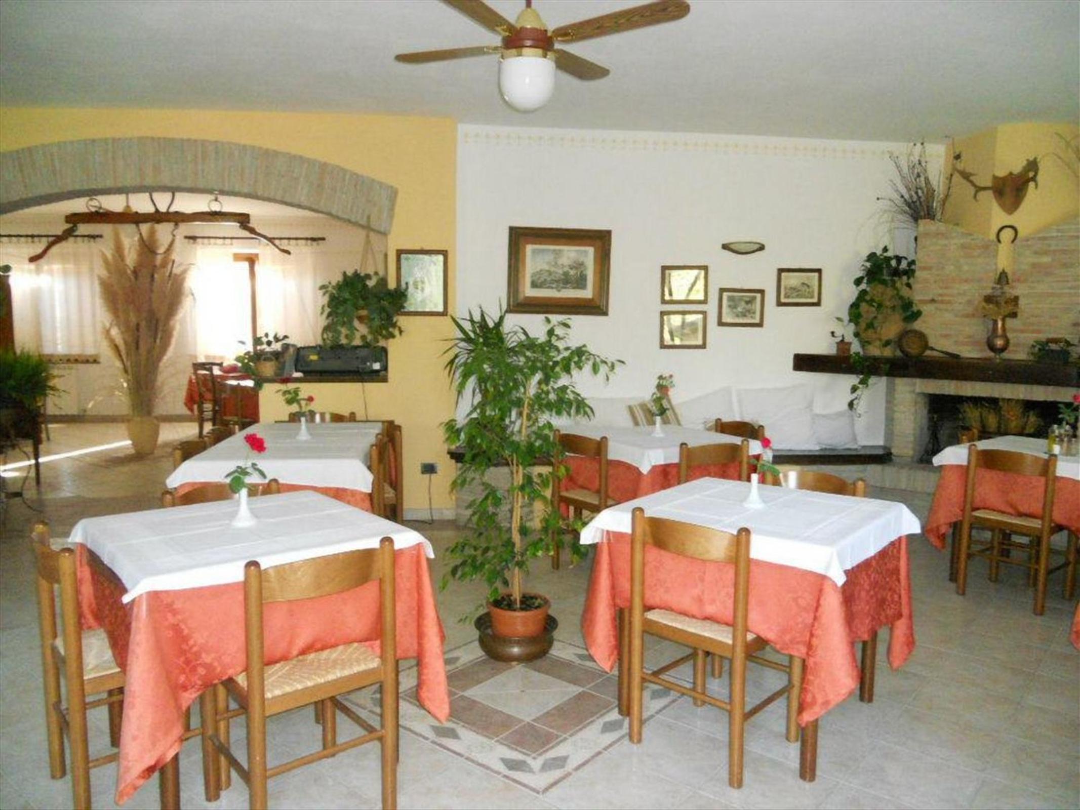 Agriturismo La Selva
