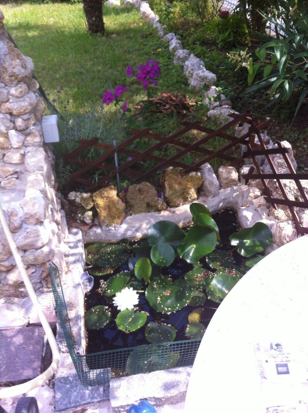 A casa di mamma view 3