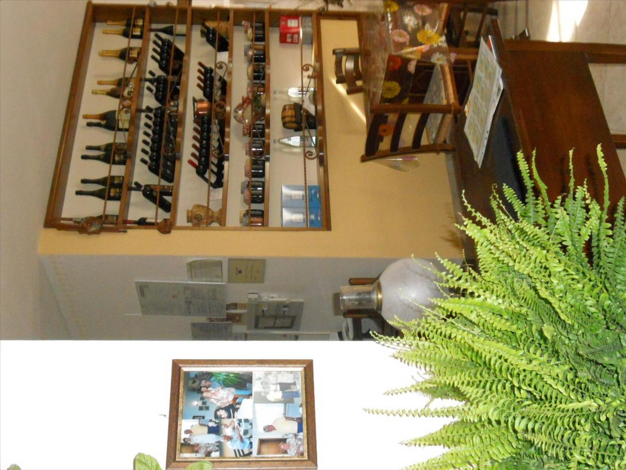 Agriturismo La Selva