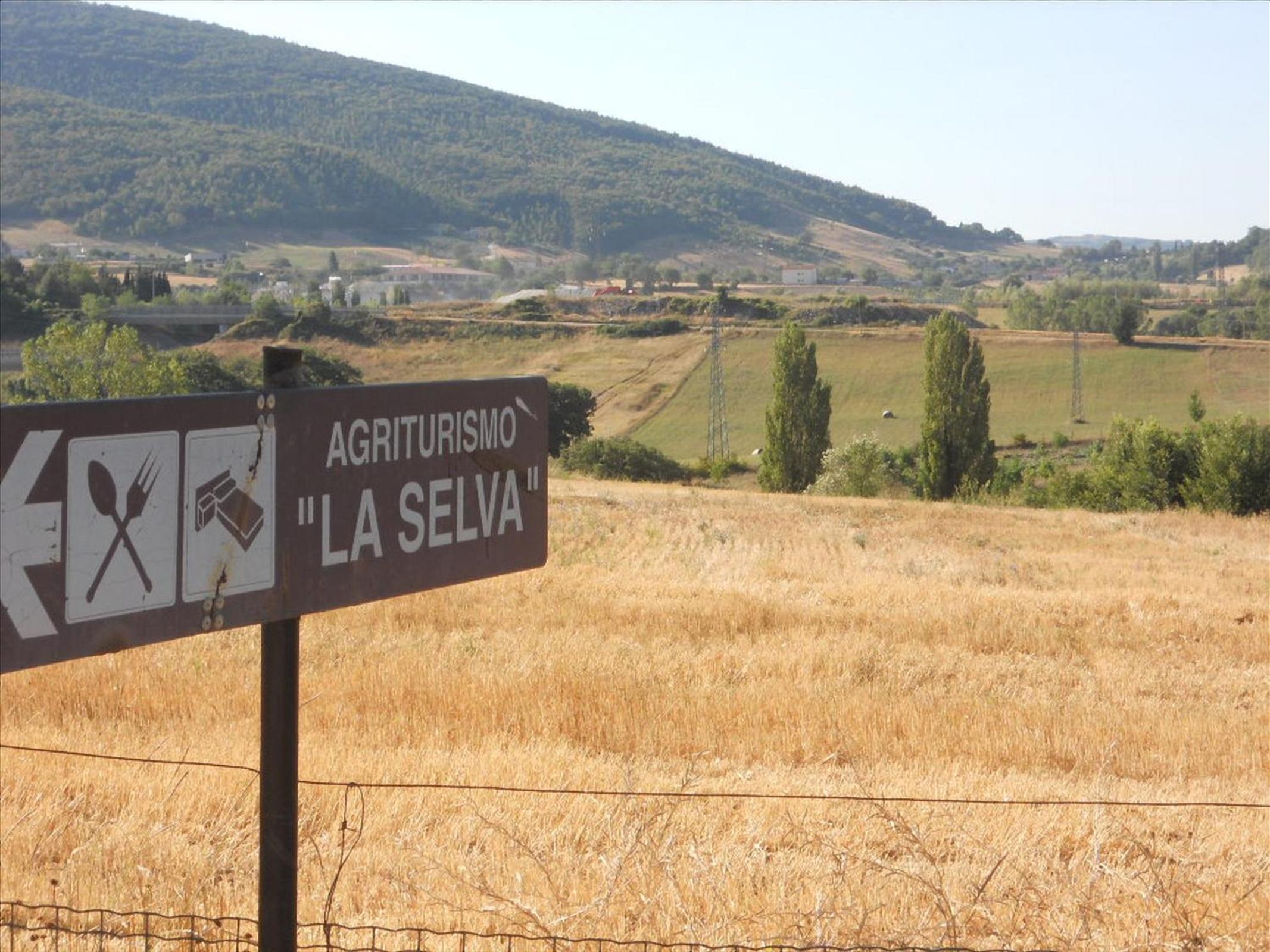 Agriturismo La Selva