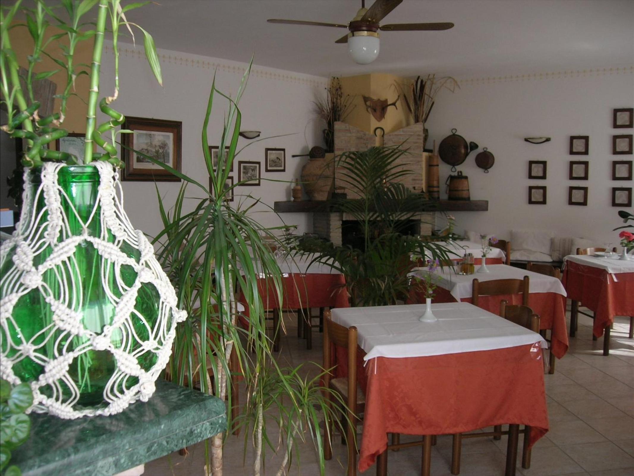 Agriturismo La Selva