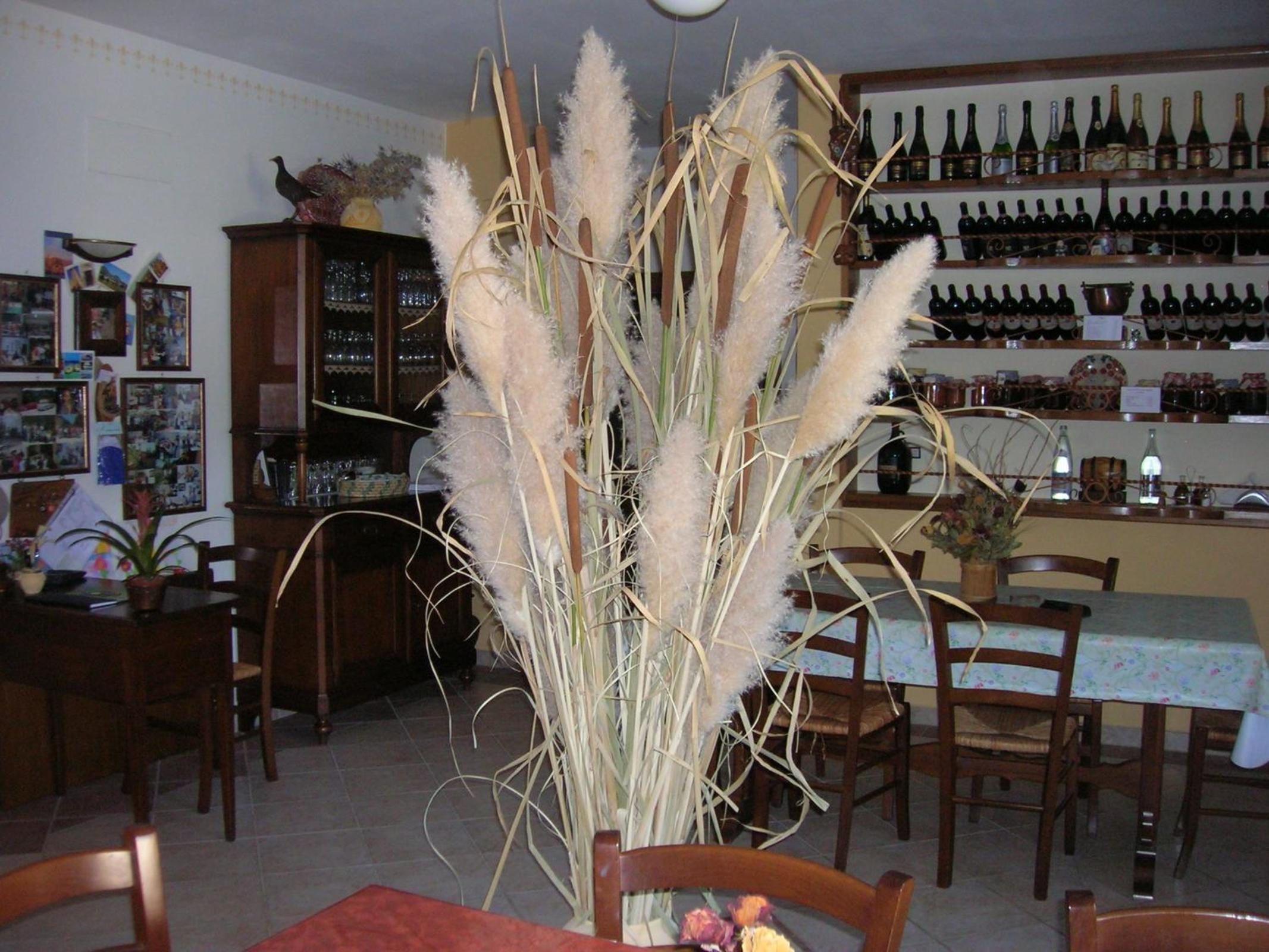 Agriturismo La Selva