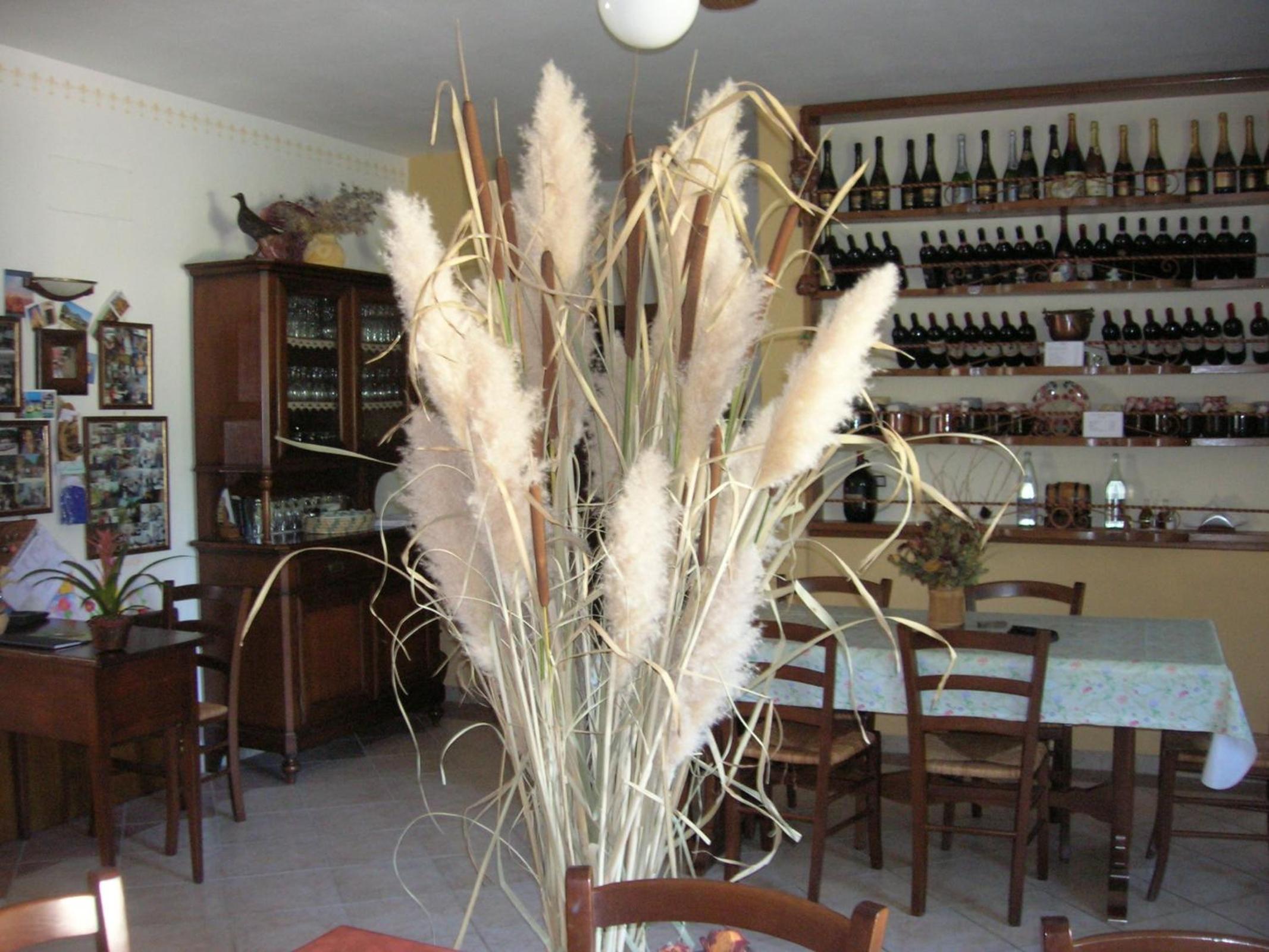 Agriturismo La Selva