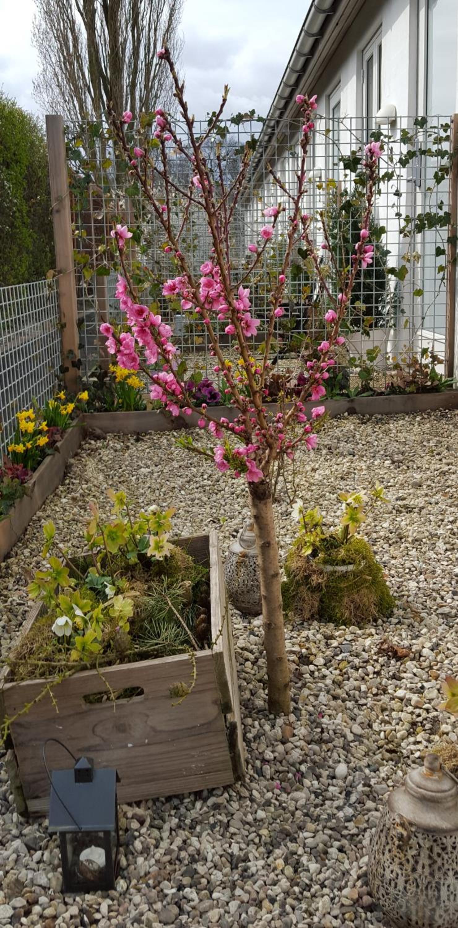 Odense Vacations - EngholmBB - Property Image 40