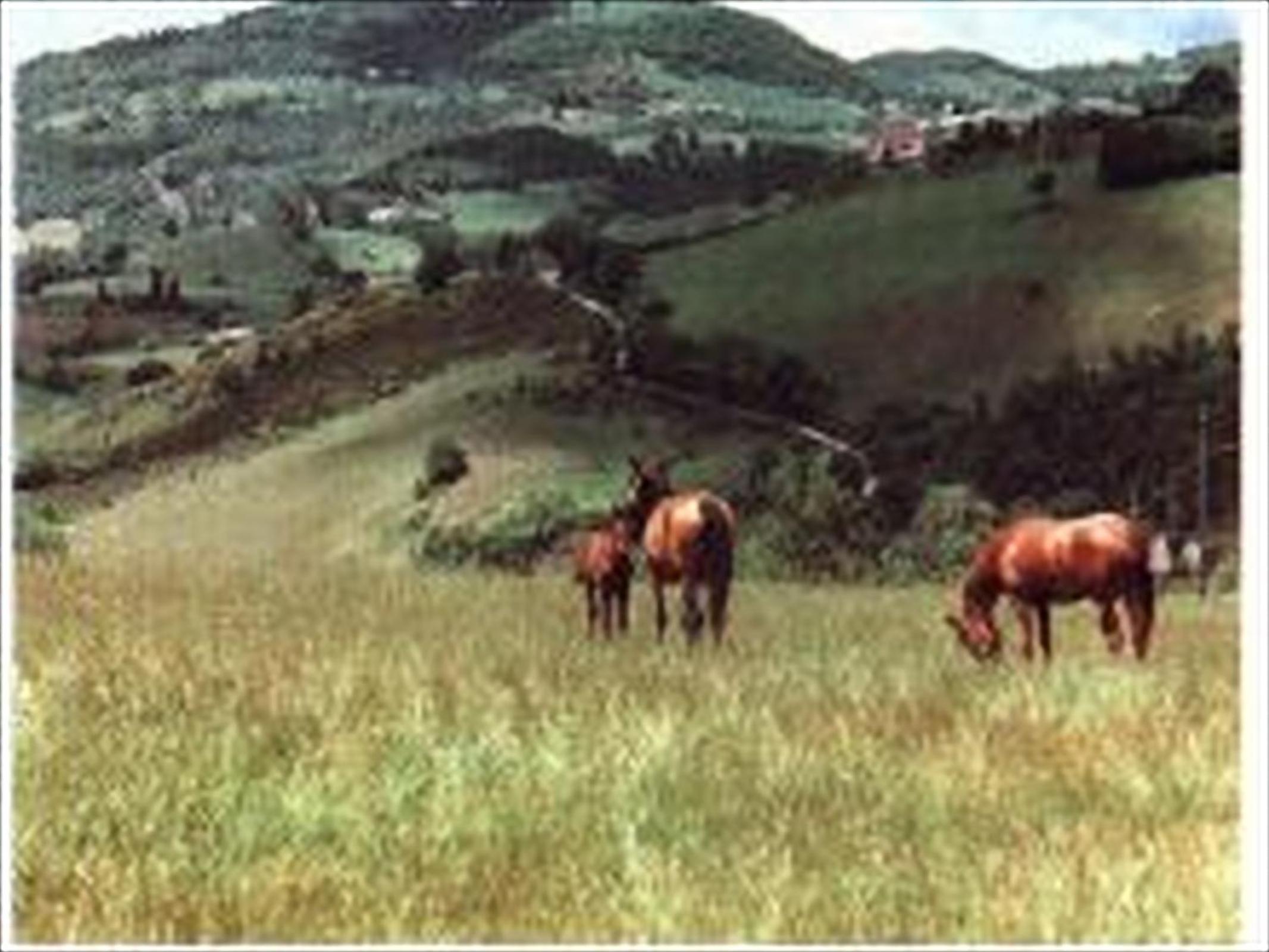 Agriturismo La Selva