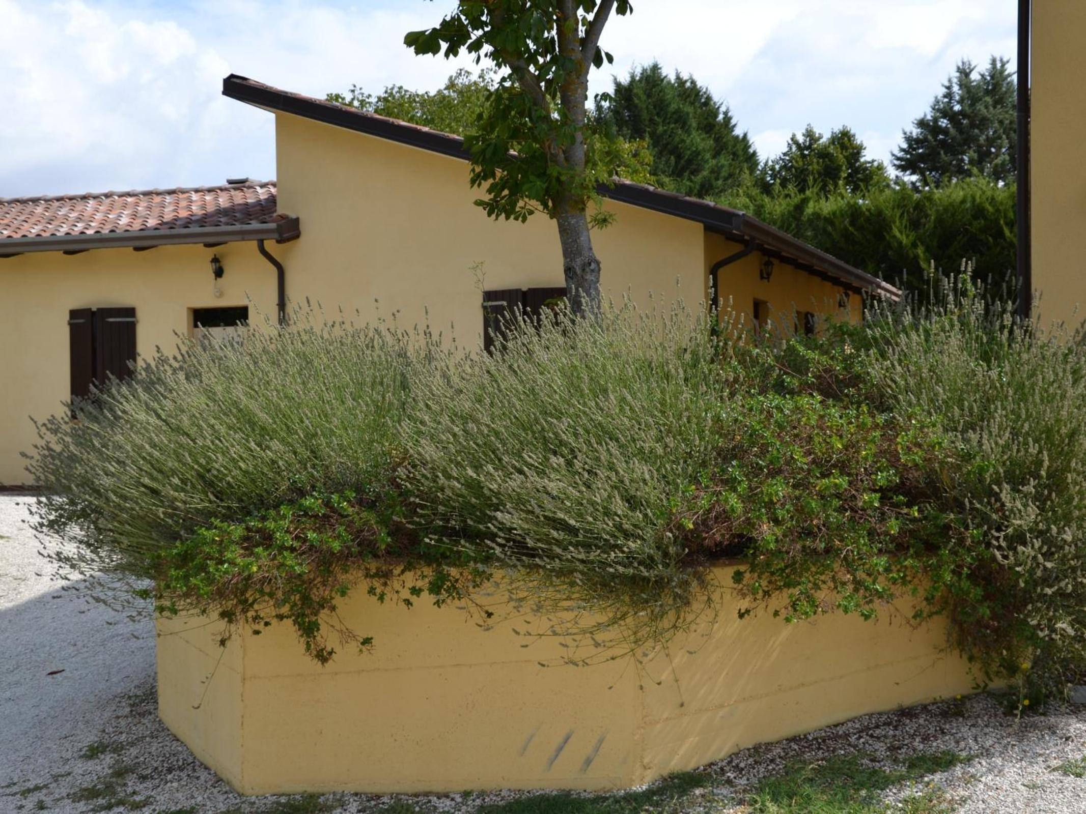 Agriturismo La Selva