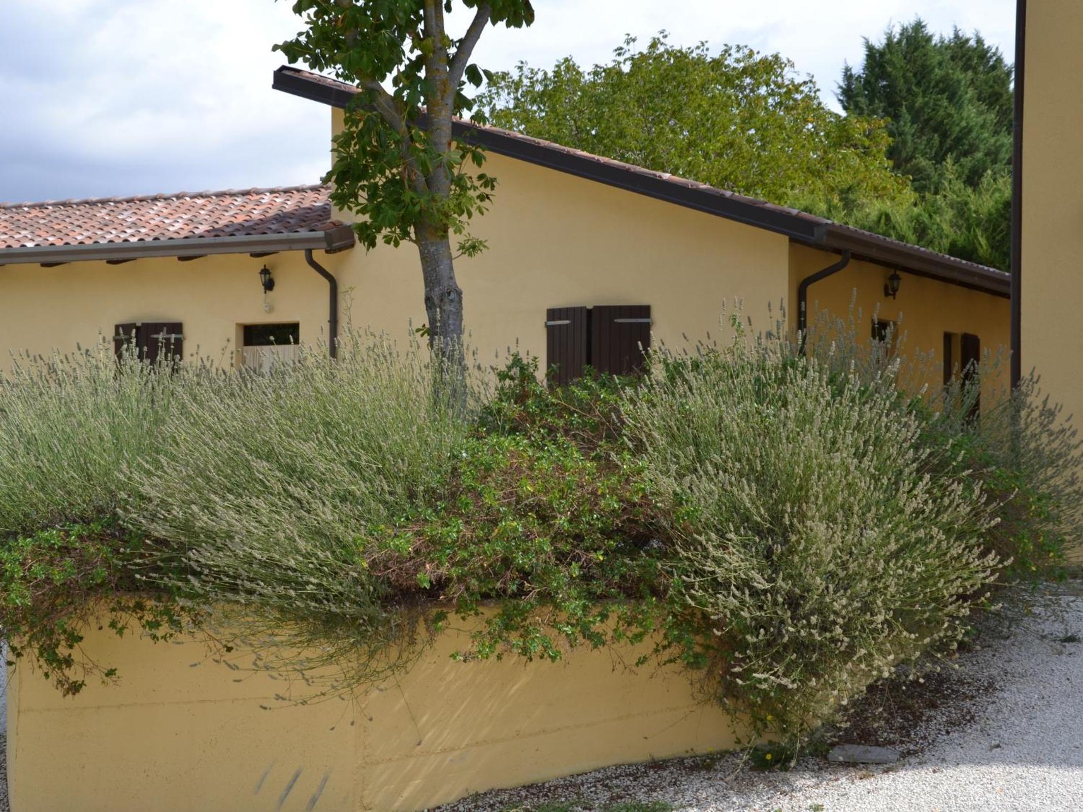 Agriturismo La Selva