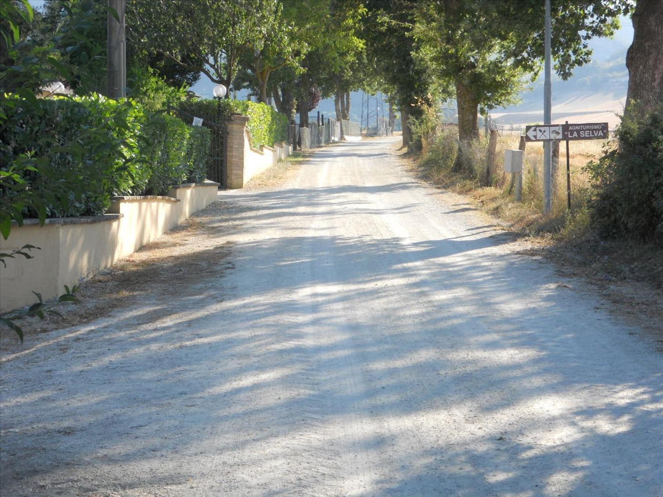 Agriturismo La Selva