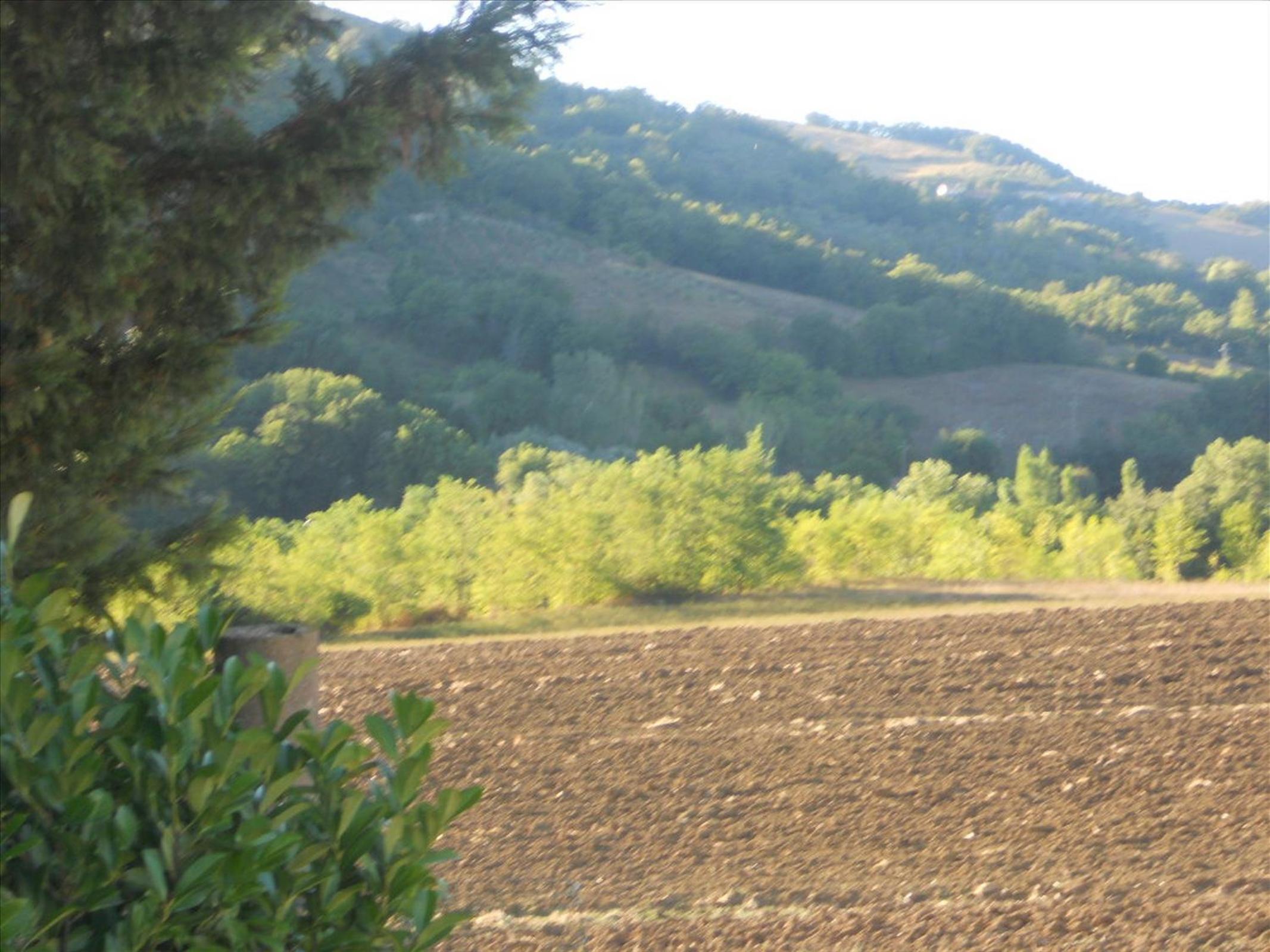 Agriturismo La Selva