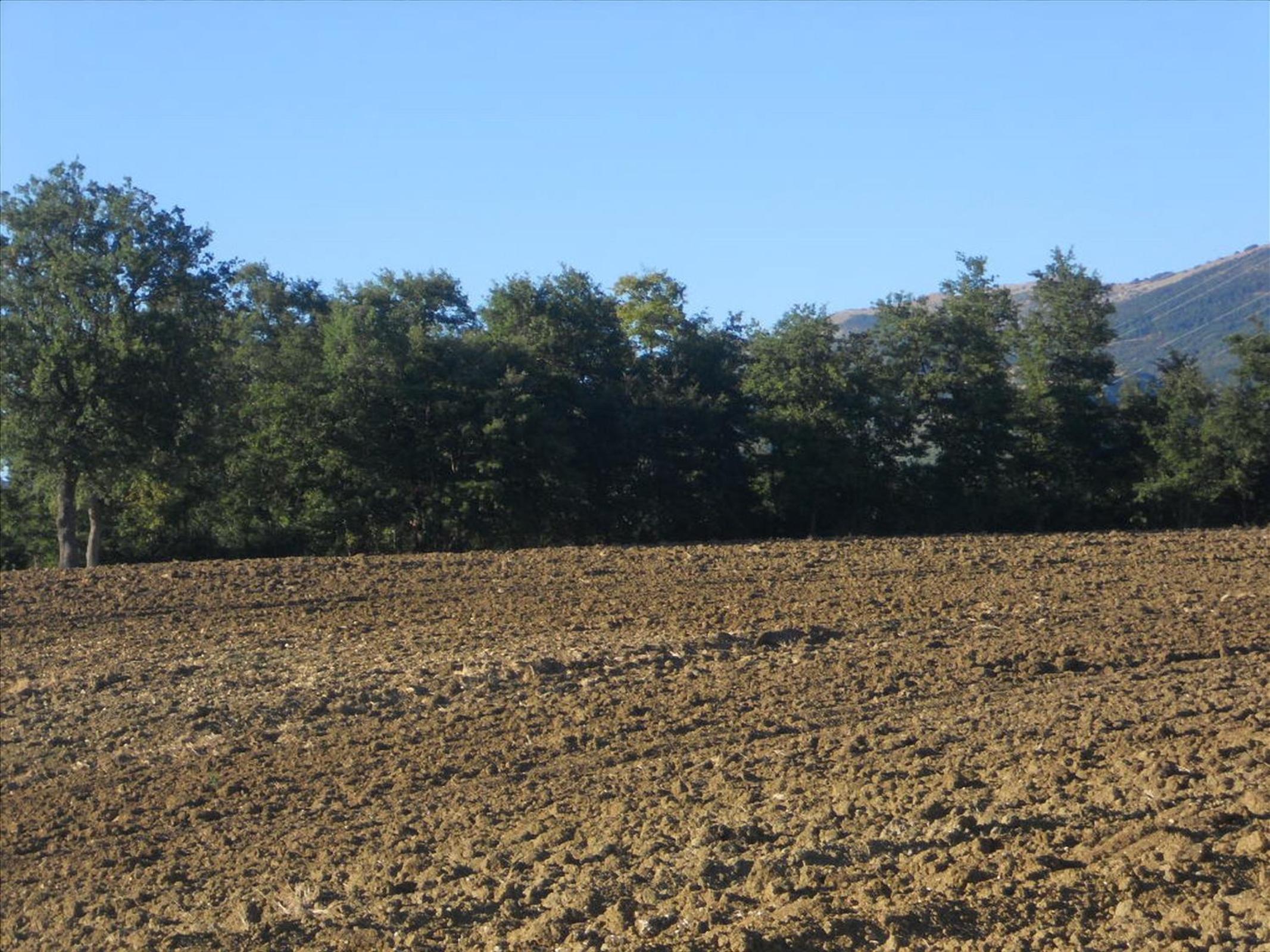 Agriturismo La Selva
