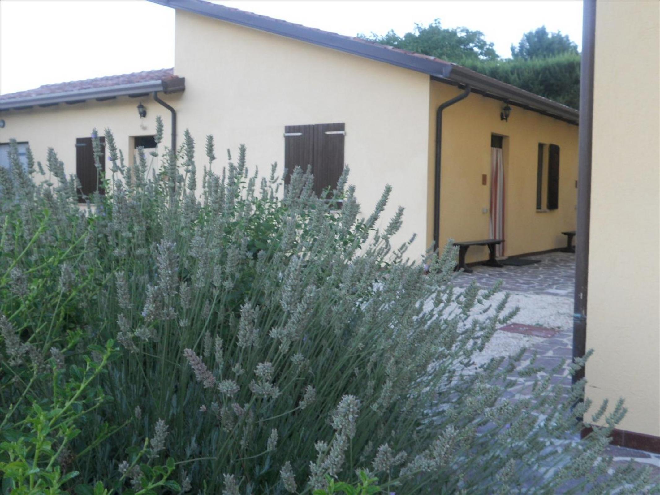 Agriturismo La Selva