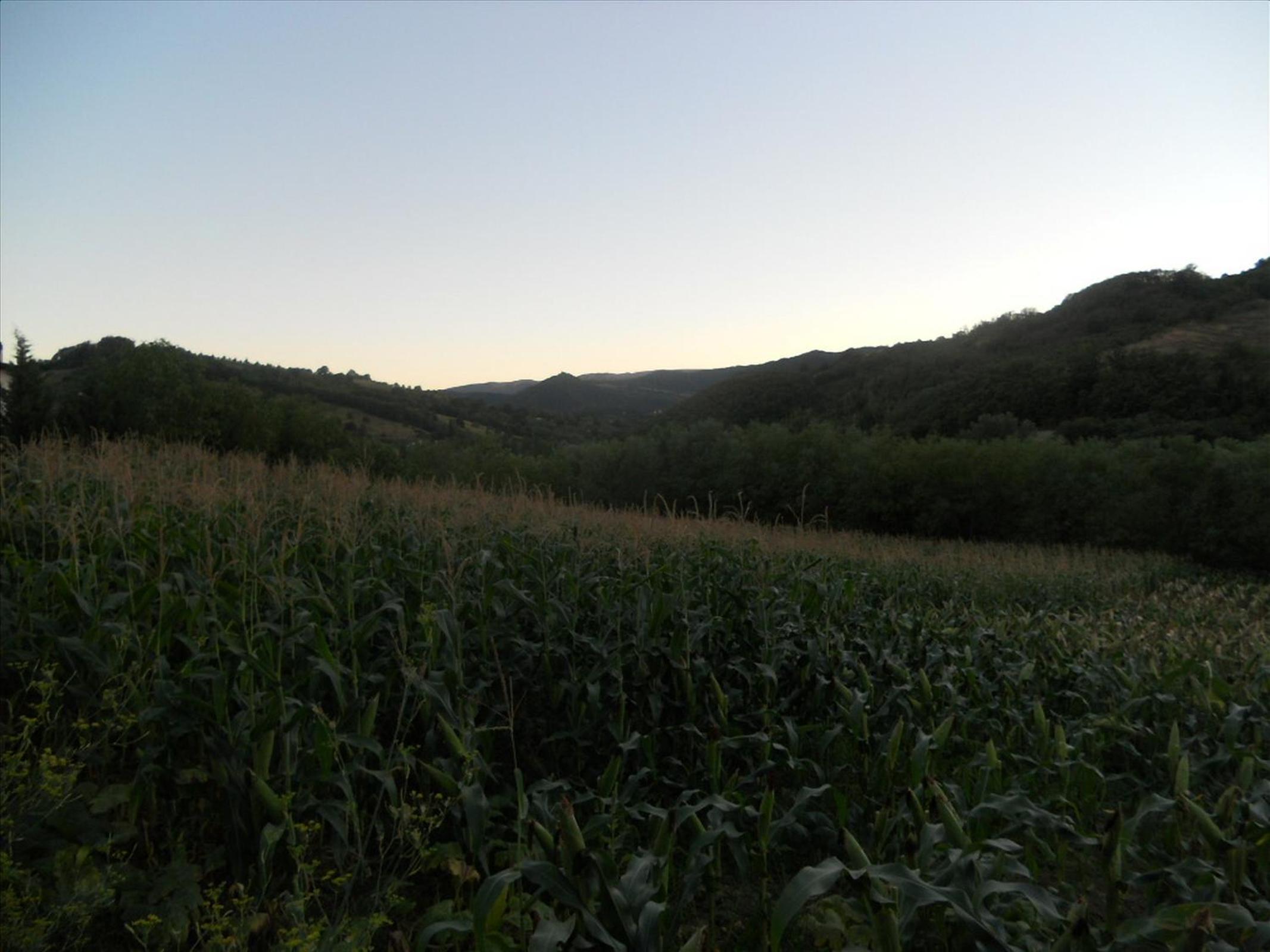 Agriturismo La Selva