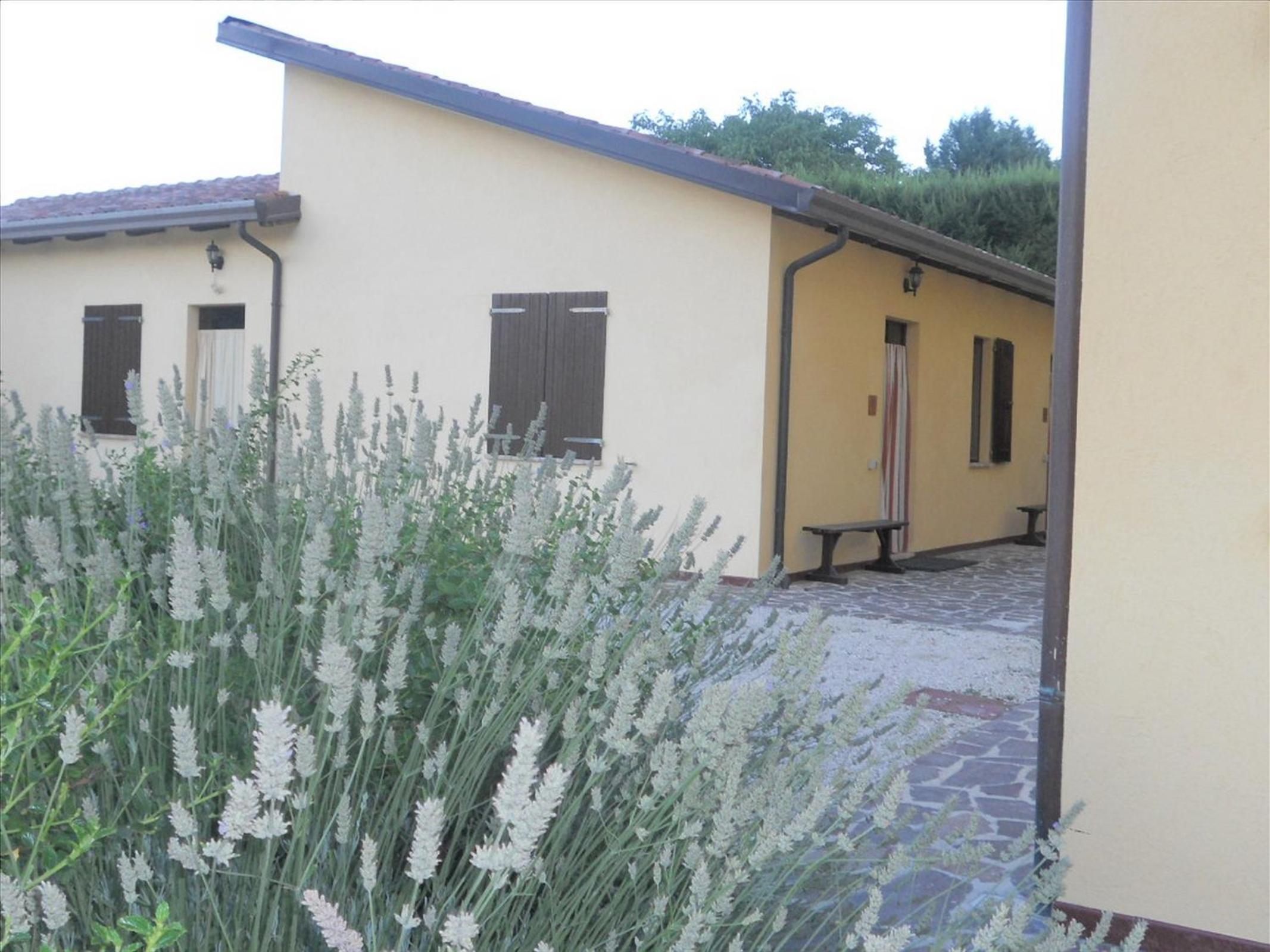 Agriturismo La Selva
