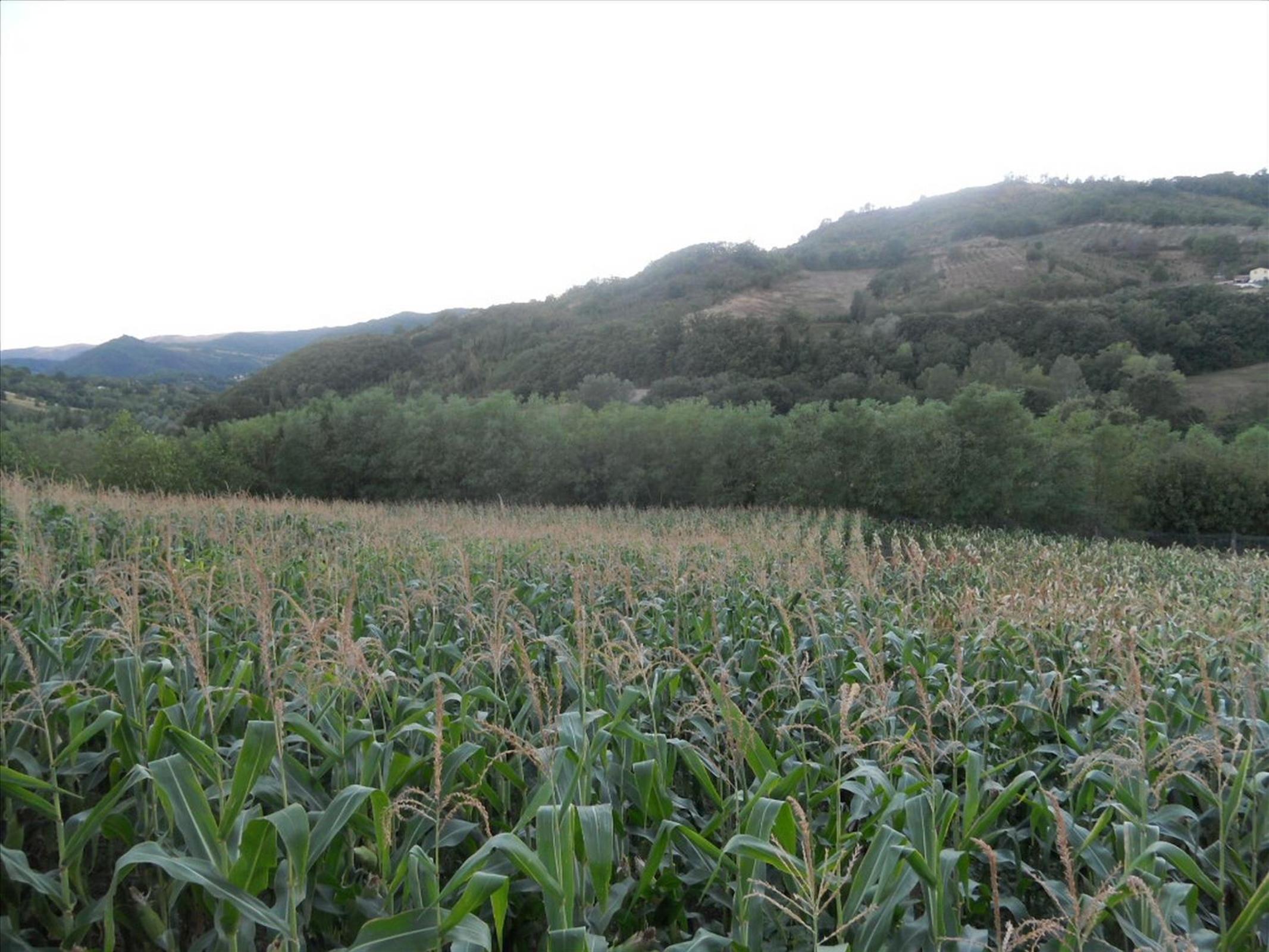 Agriturismo La Selva