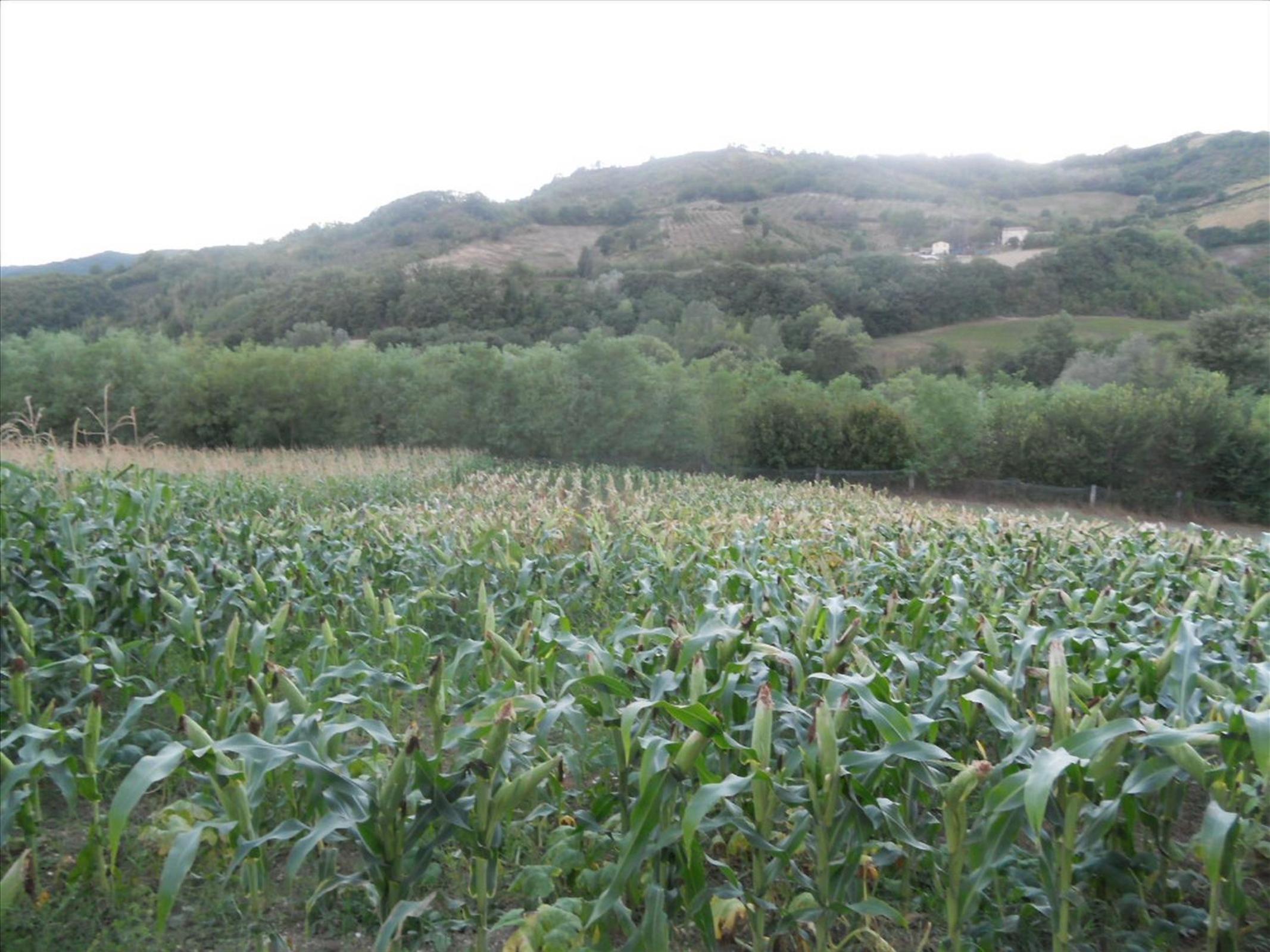 Agriturismo La Selva