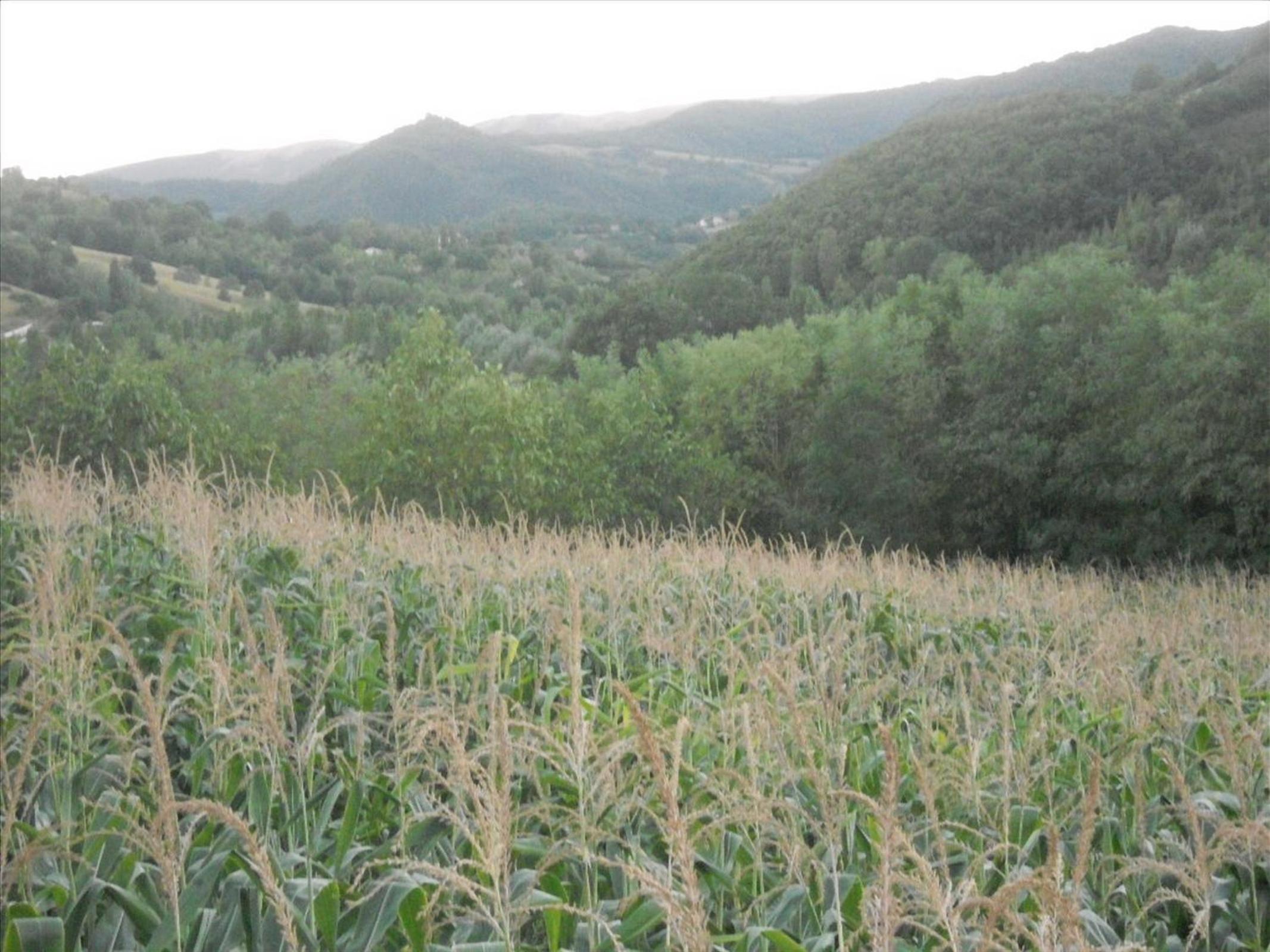 Agriturismo La Selva