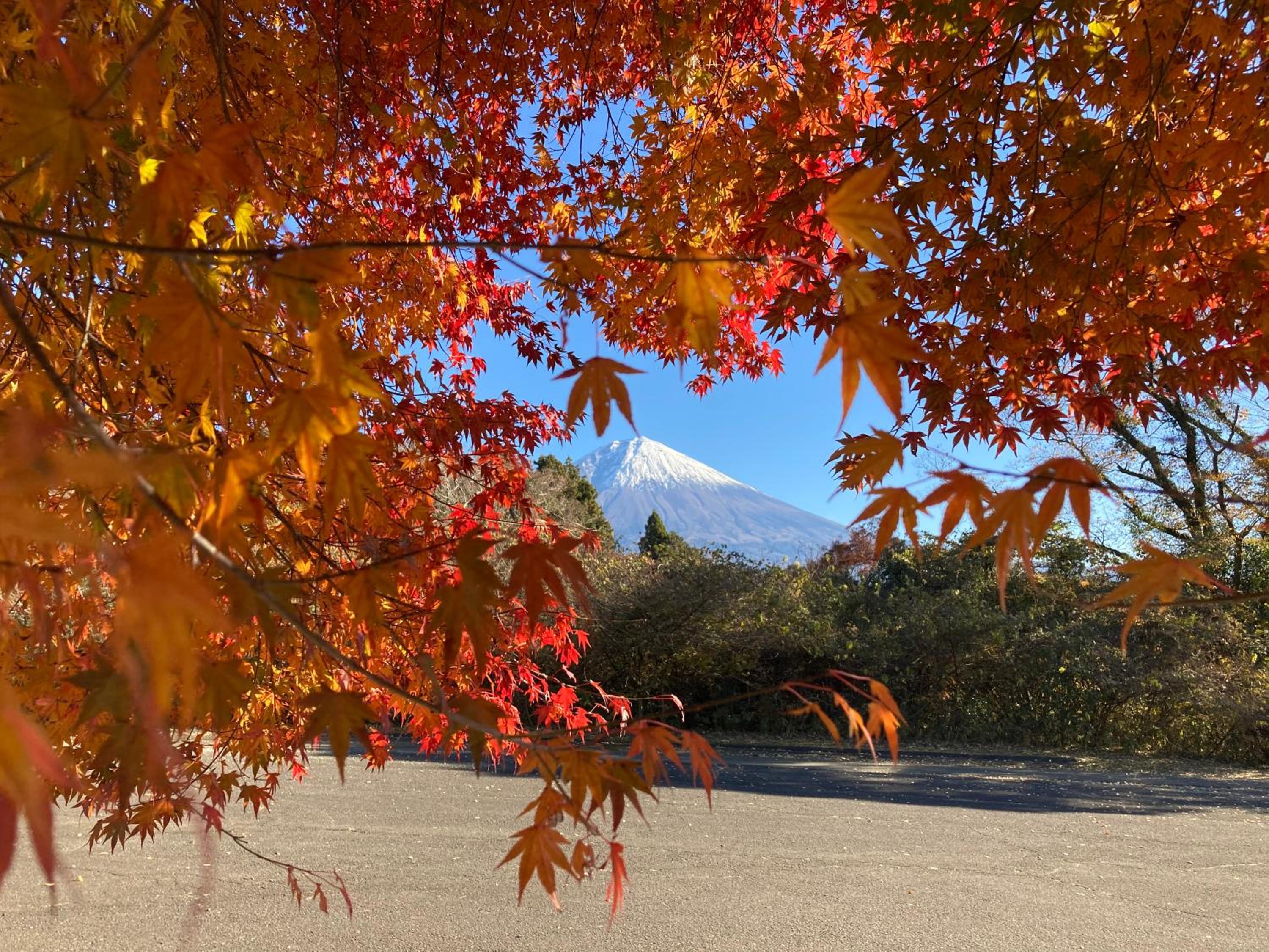 Shiraito Garden A Private Retreat Near Shiraito Falls with Mt Fuji Views