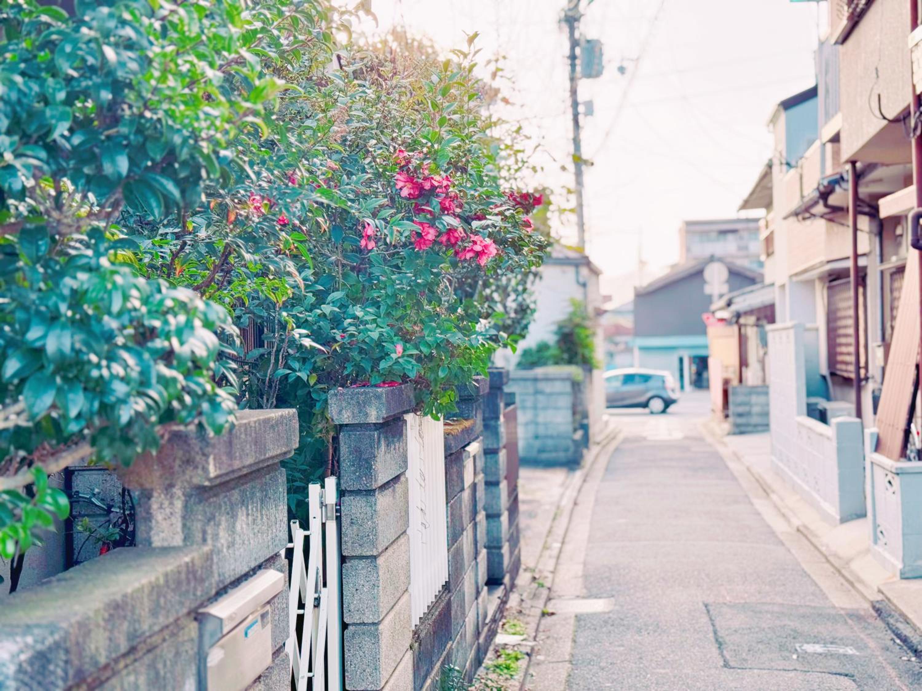 Yuki's house - Kyoto single-family house, 3 minutes to the nearest bus stop