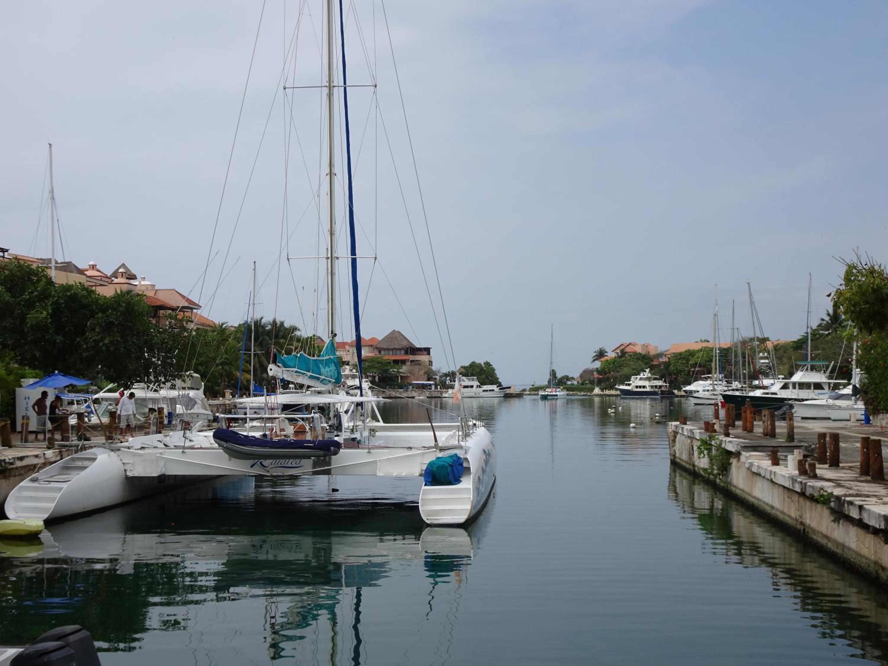 La Salamandra, photo 21