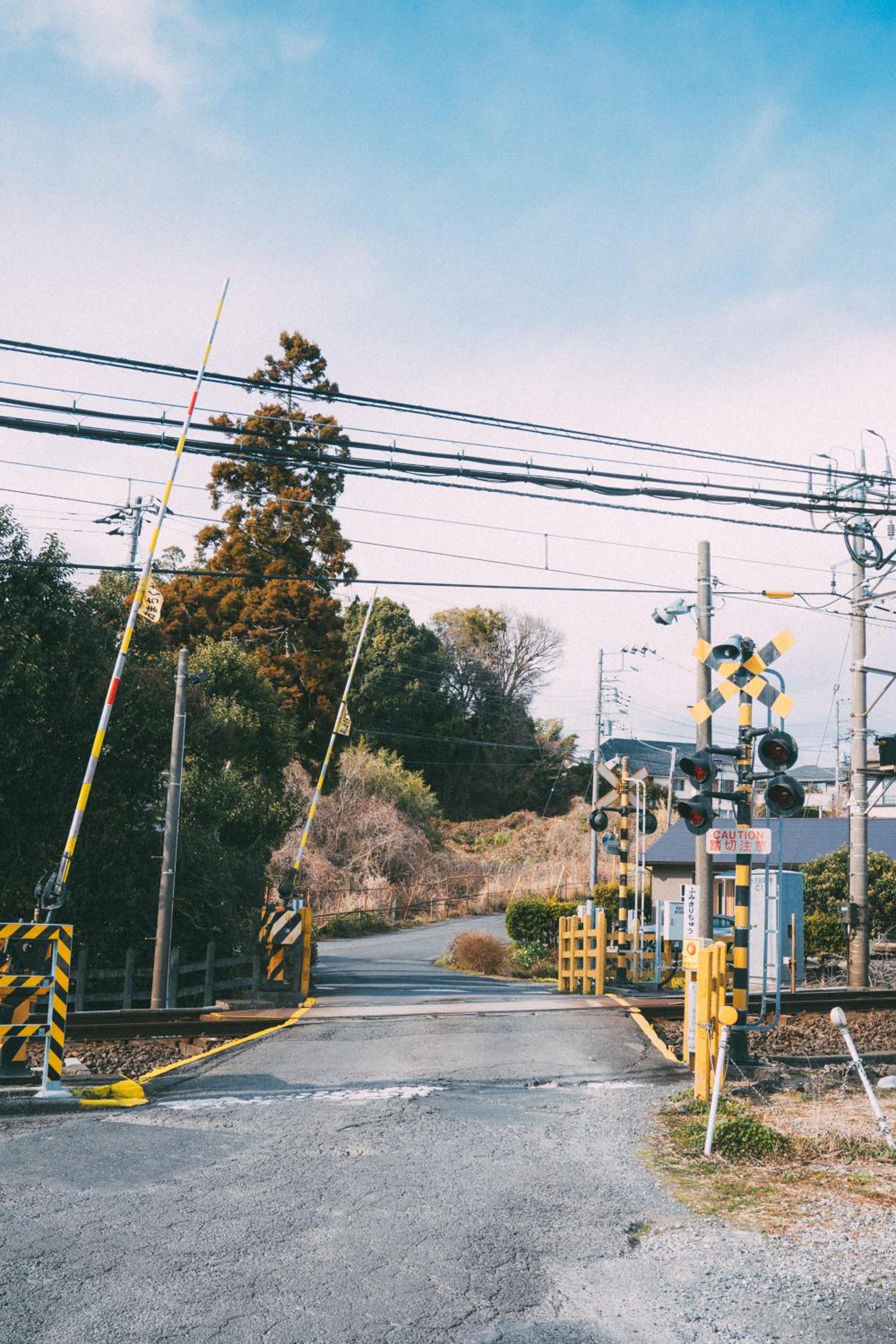 伊豆の情景 Izu Nostalgia
