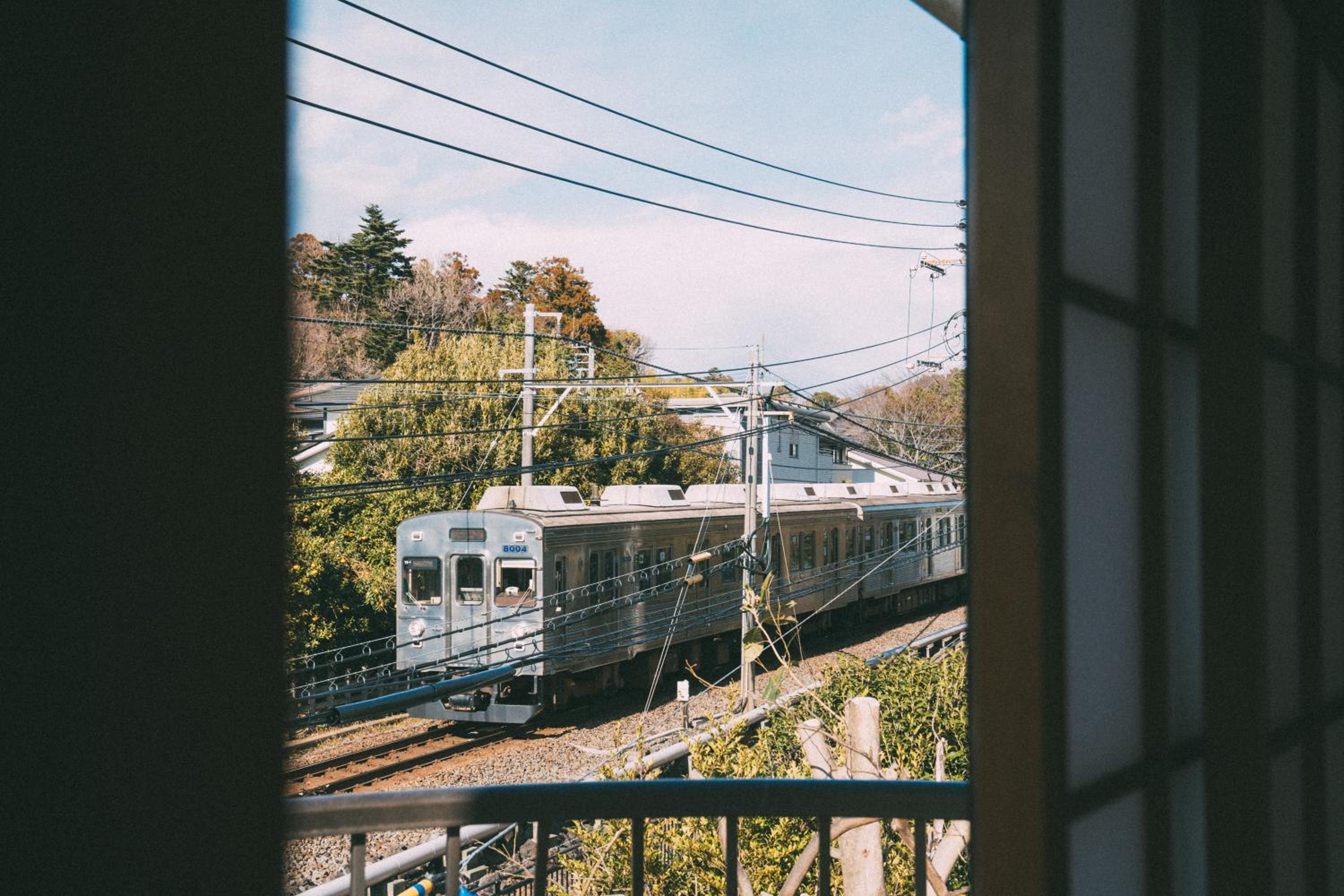 伊豆の情景 Izu Nostalgia