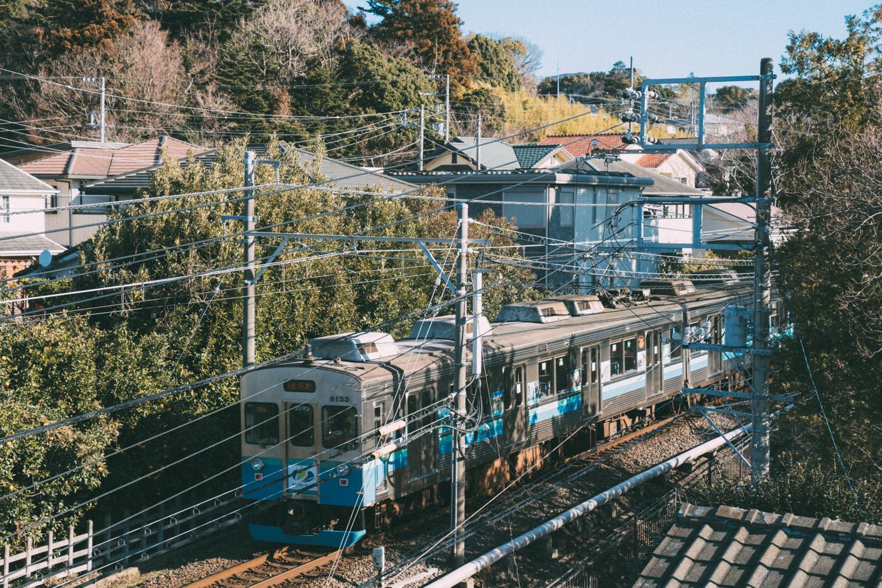 伊豆の情景 Izu Nostalgia