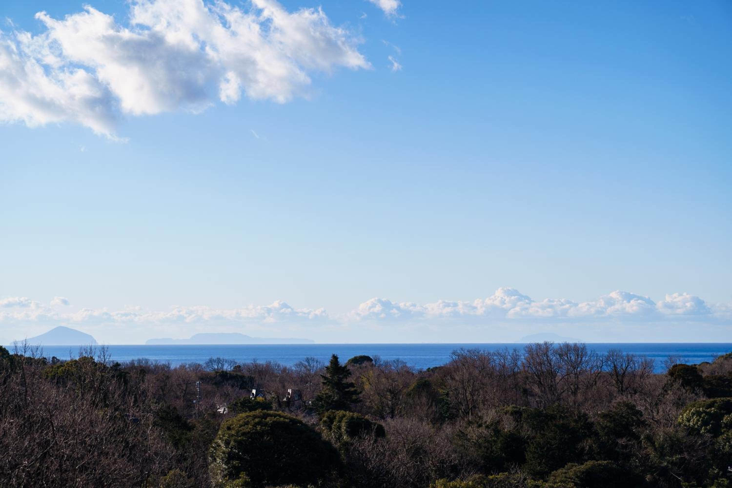伊豆の情景 Izu Nostalgia
