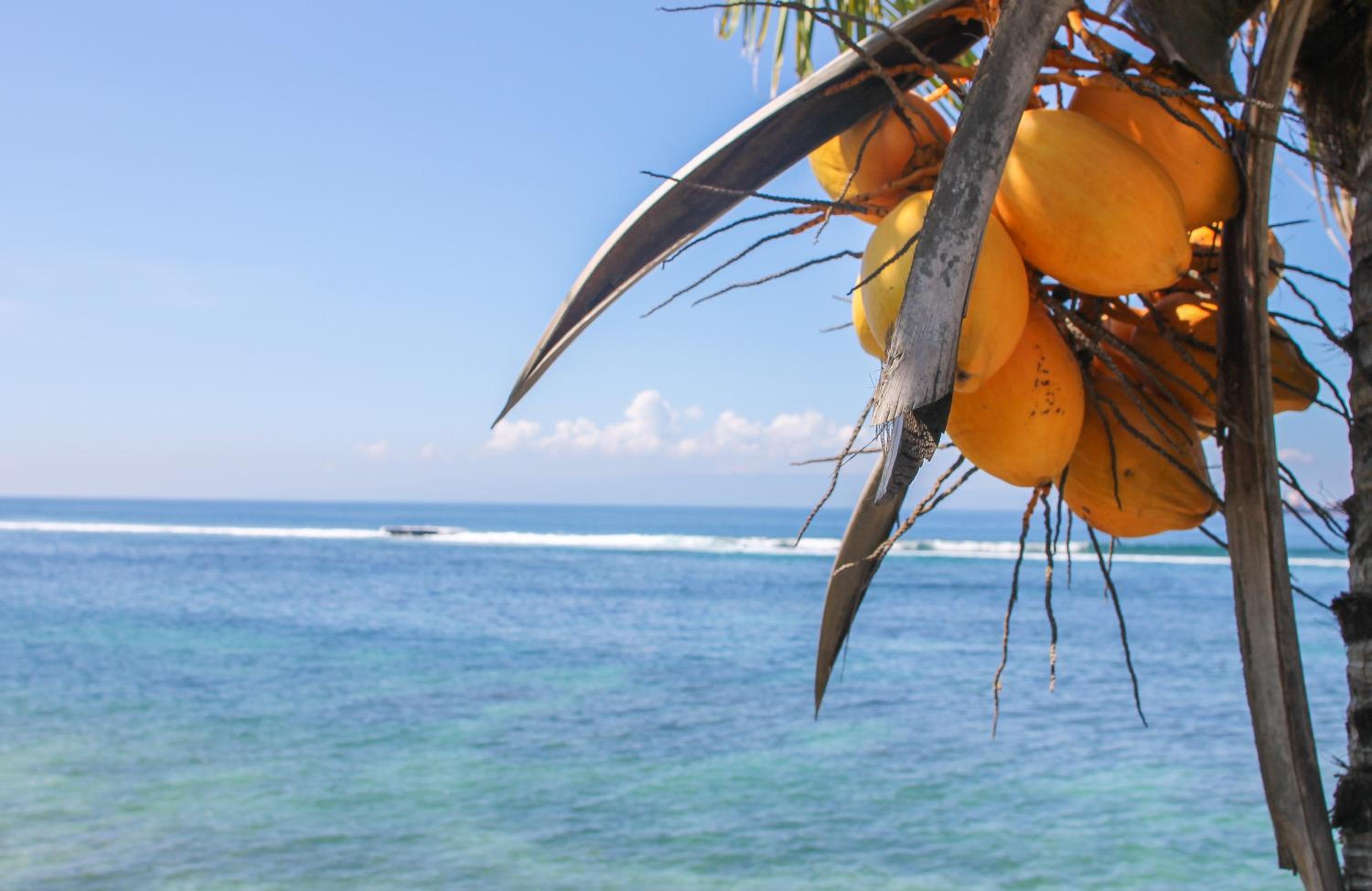 Sea Breeze Candidasa