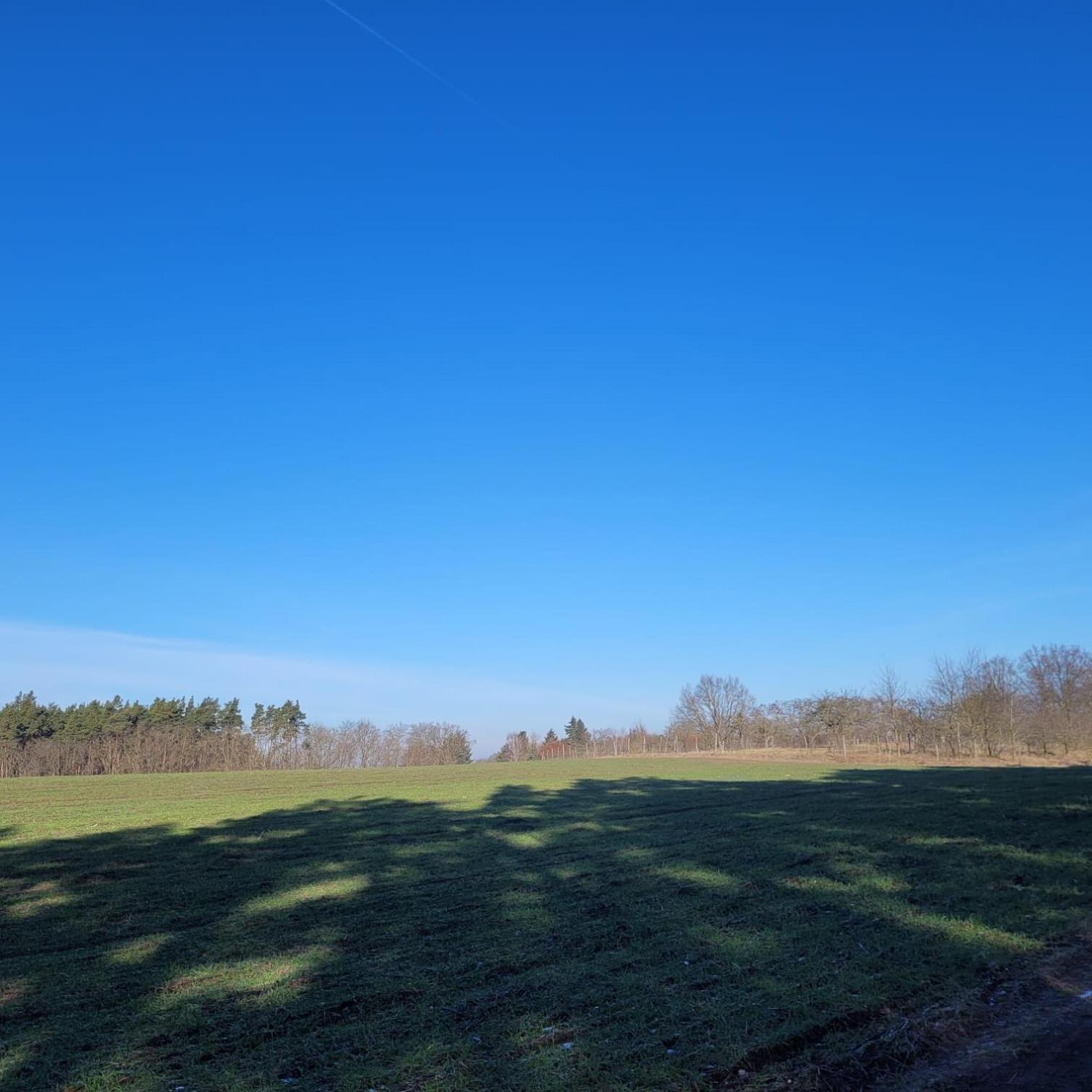 Ruheoase Waldblick