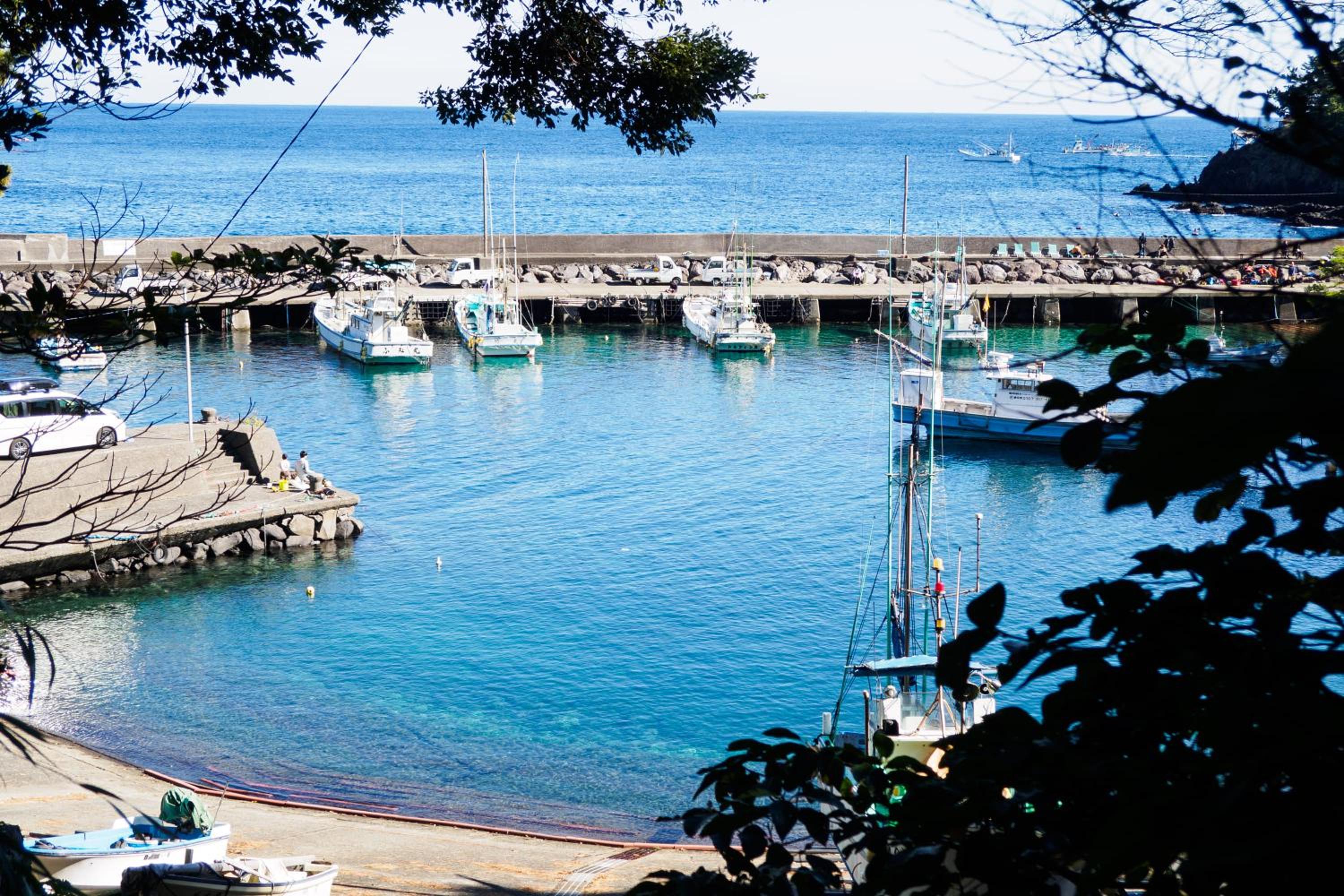 伊豆の情景 Izu Nostalgia