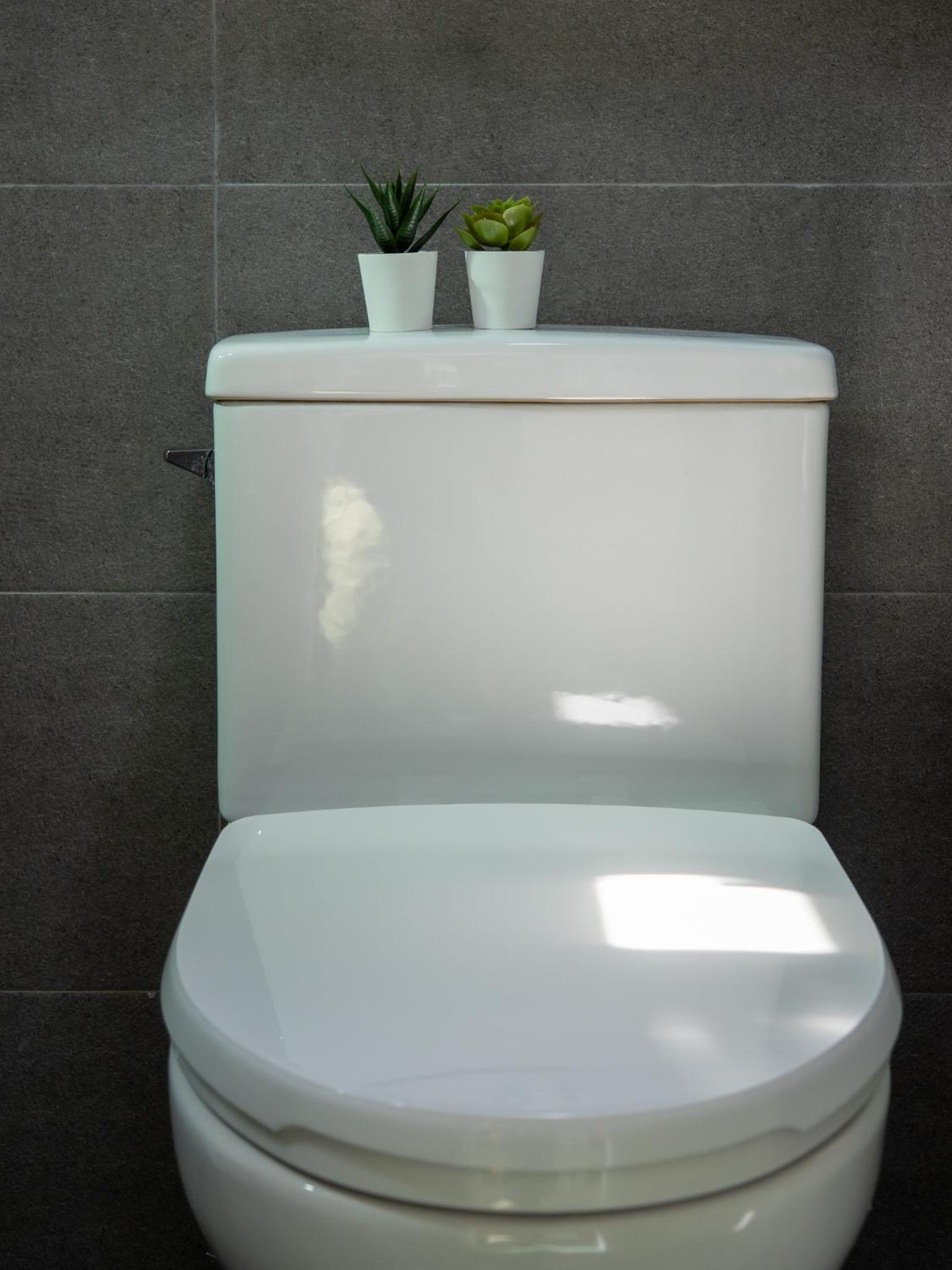 스테이 포즈 서울 Stay Pause- Serene Loft Retreat in Seoul