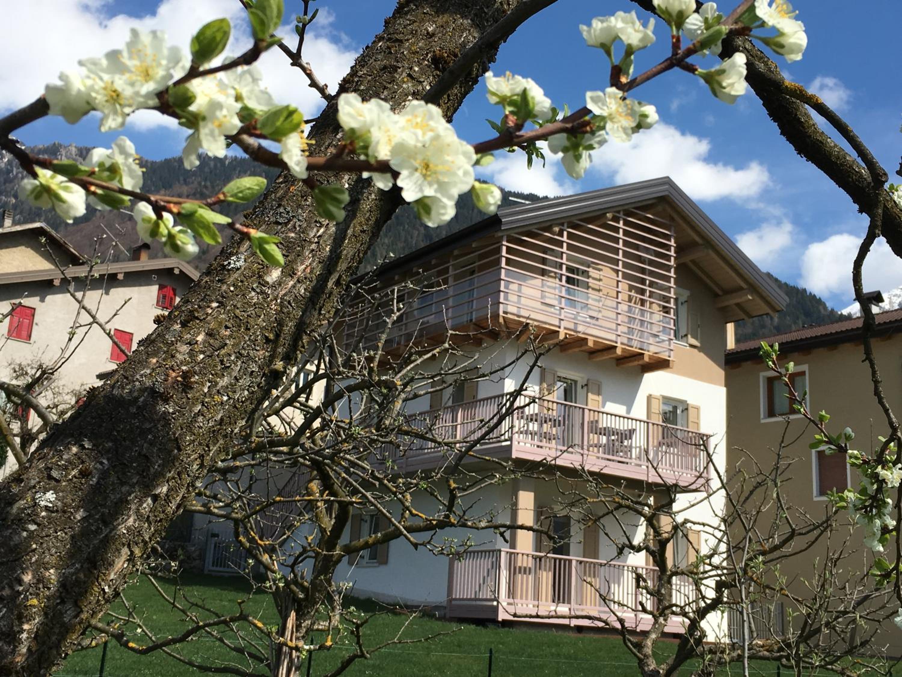 B&B Il Piccolo Principe room and breakfast