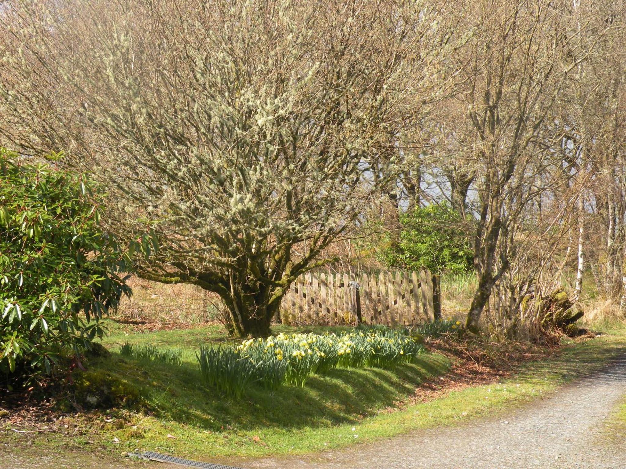 McHugh and Loudon Cottages