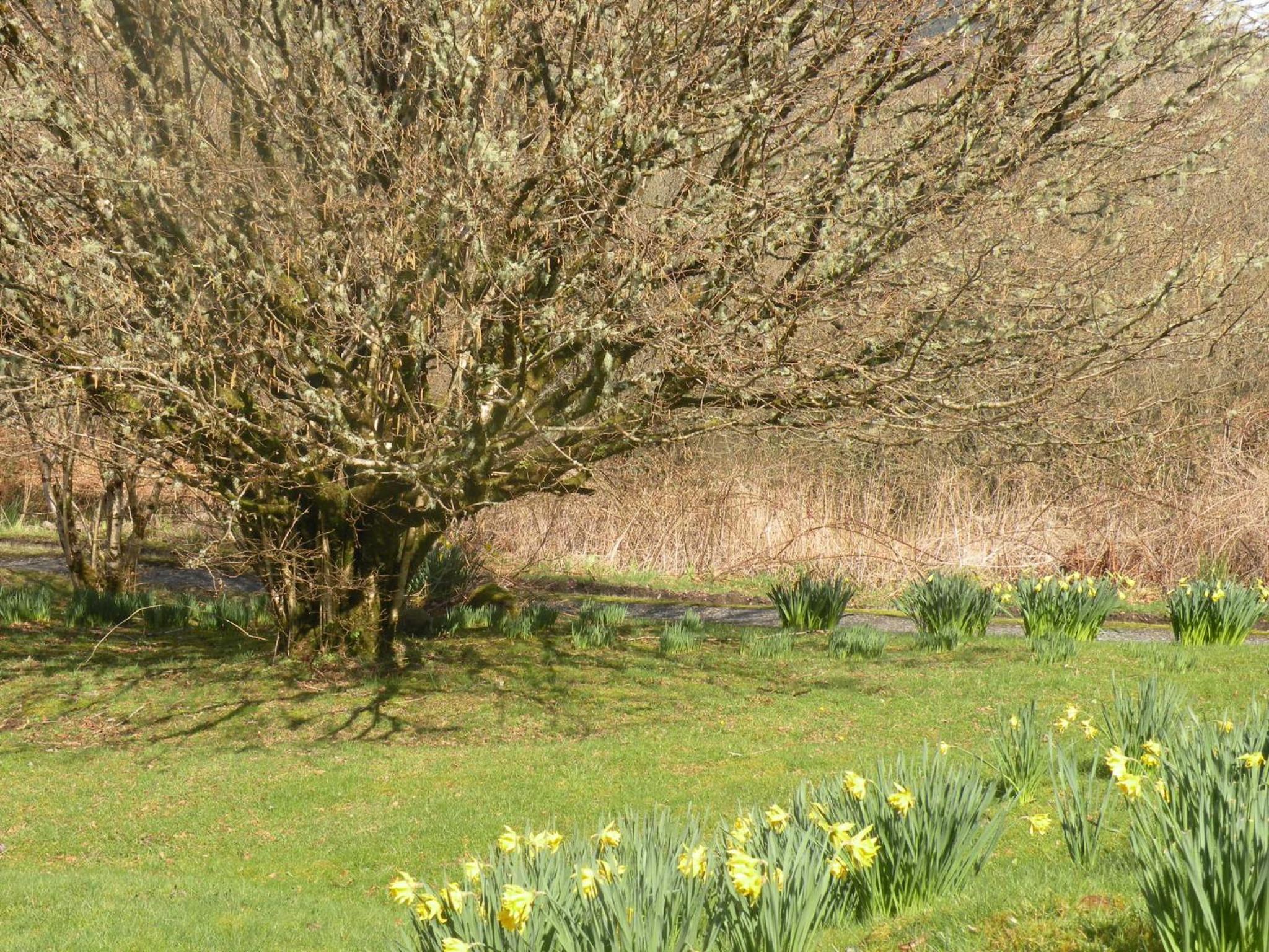 McHugh and Loudon Cottages