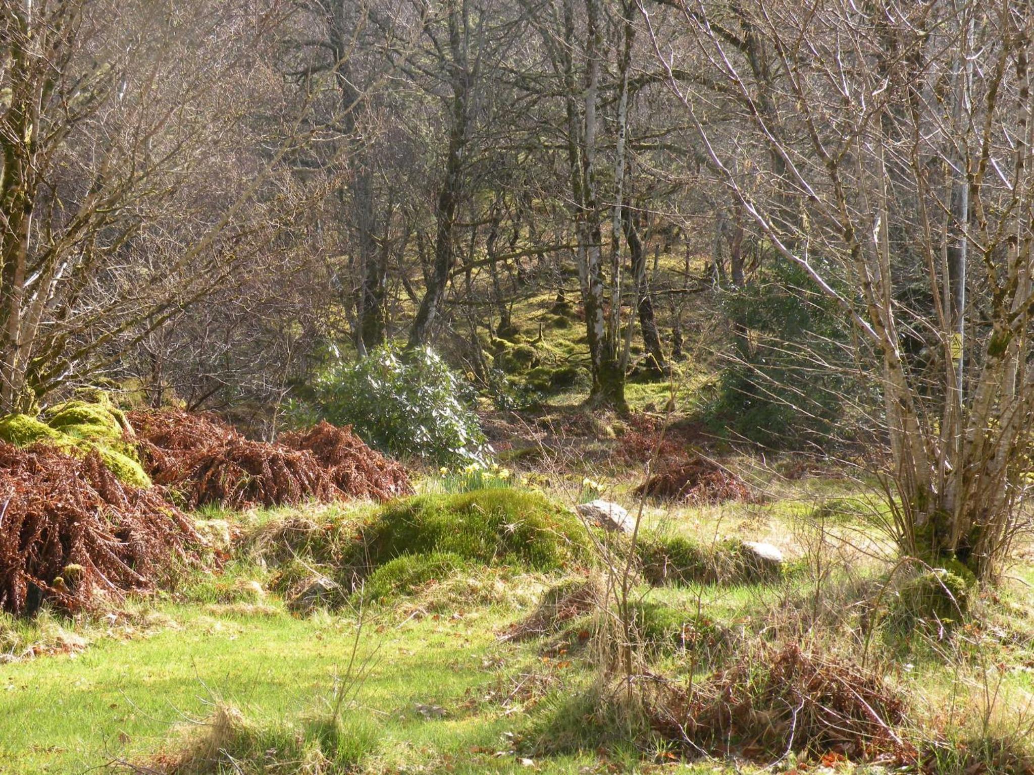 McHugh and Loudon Cottages