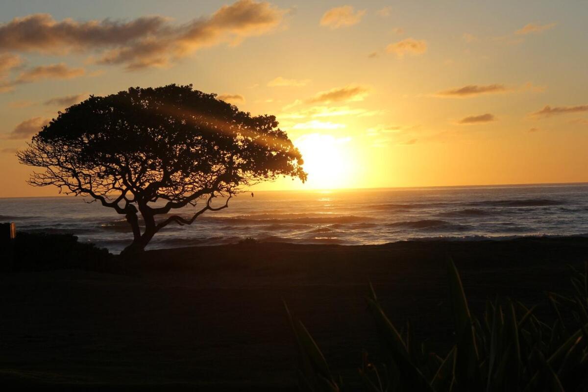 Mountain View Double Bed Room, Beachfront Resort, Lanai, AC, Pool, Restaurant, Gym, Spa