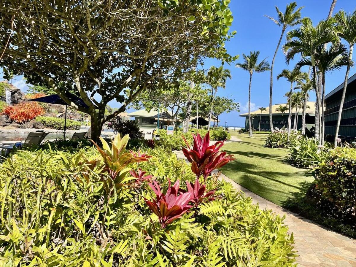 Mountain View Double Bed Room, Beachfront Resort, Lanai, AC, Pool, Restaurant, Gym, Spa